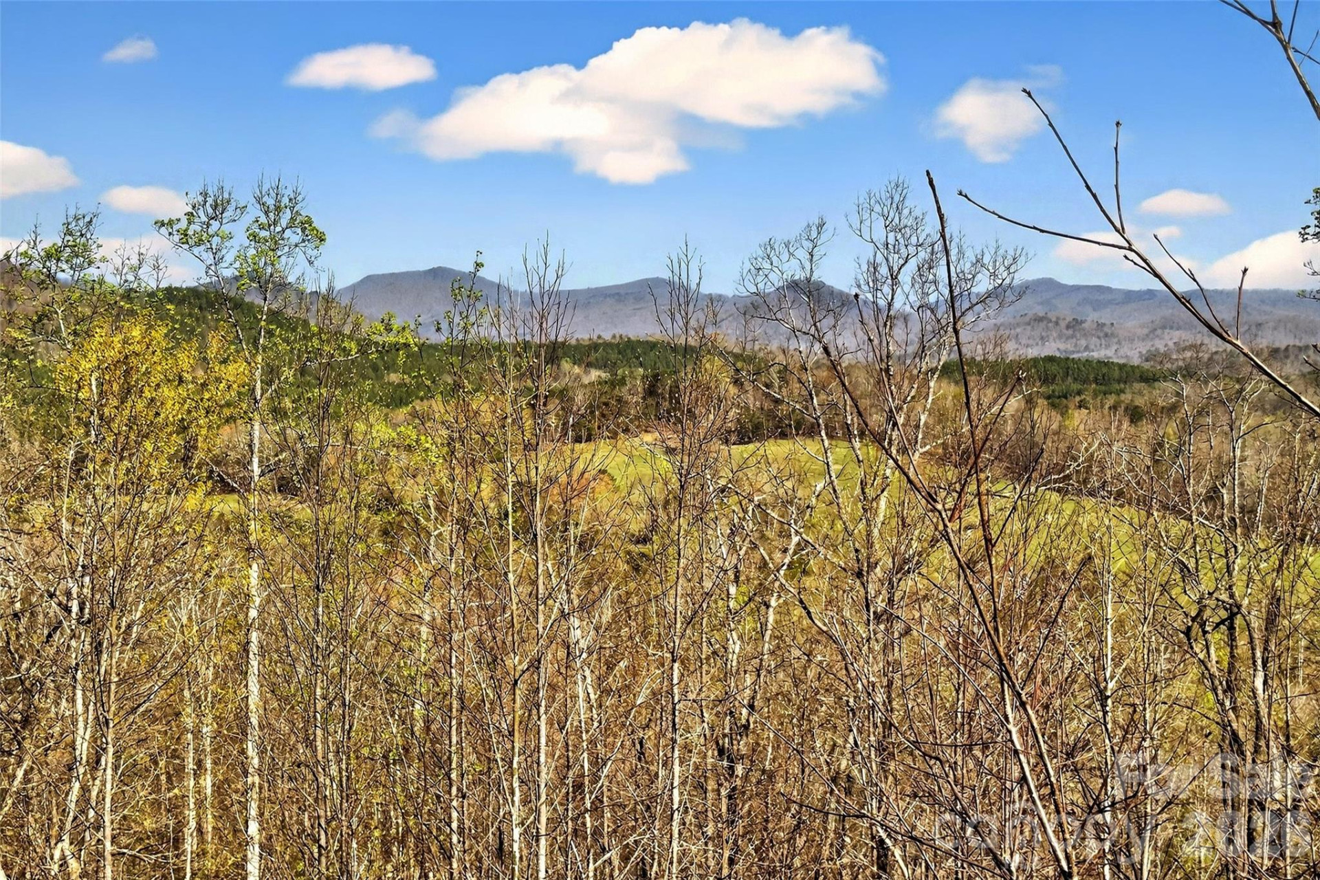 398 Waterfall Drive - Photo 10