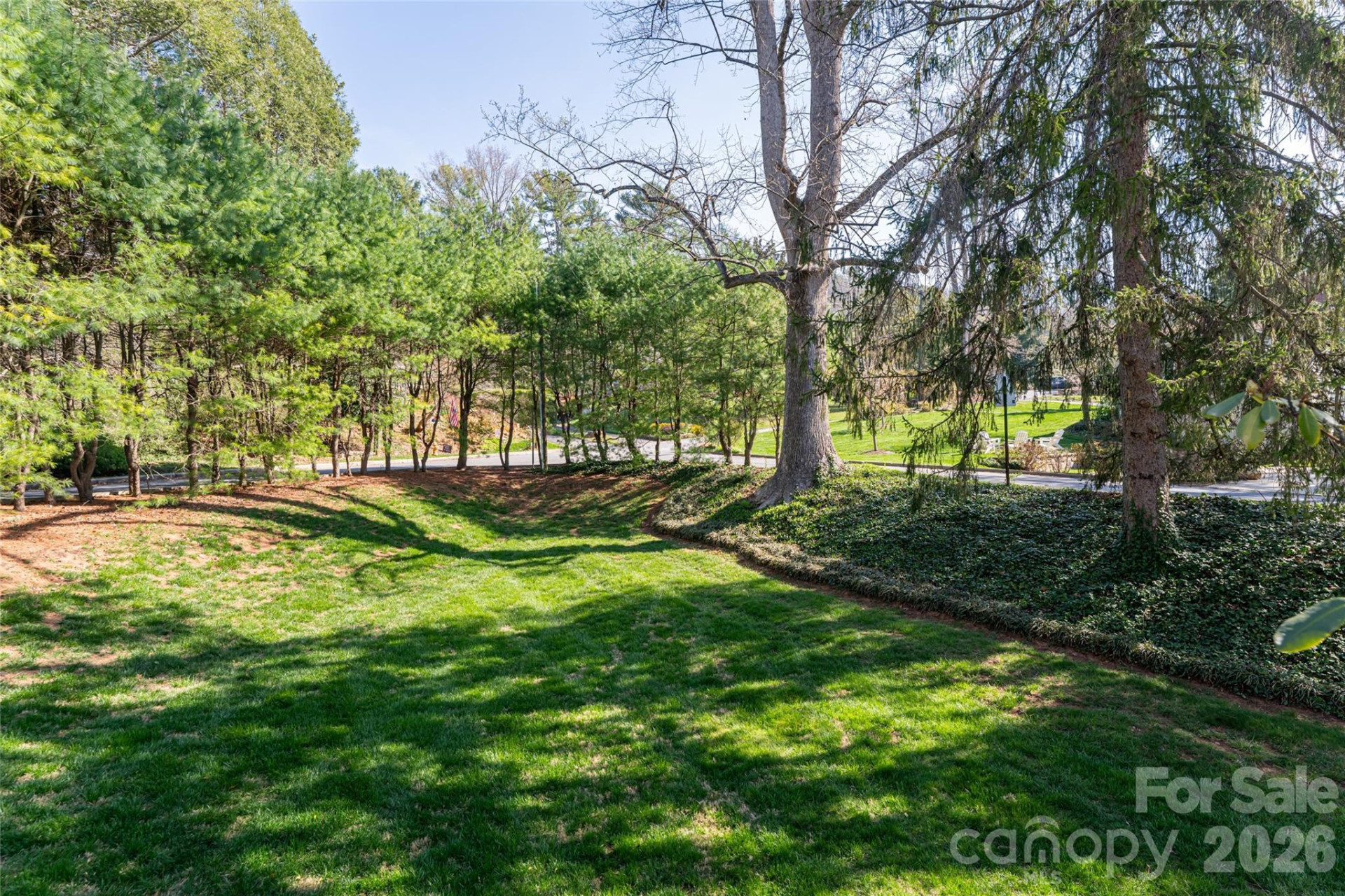 25 Blackwood Road - Photo 14