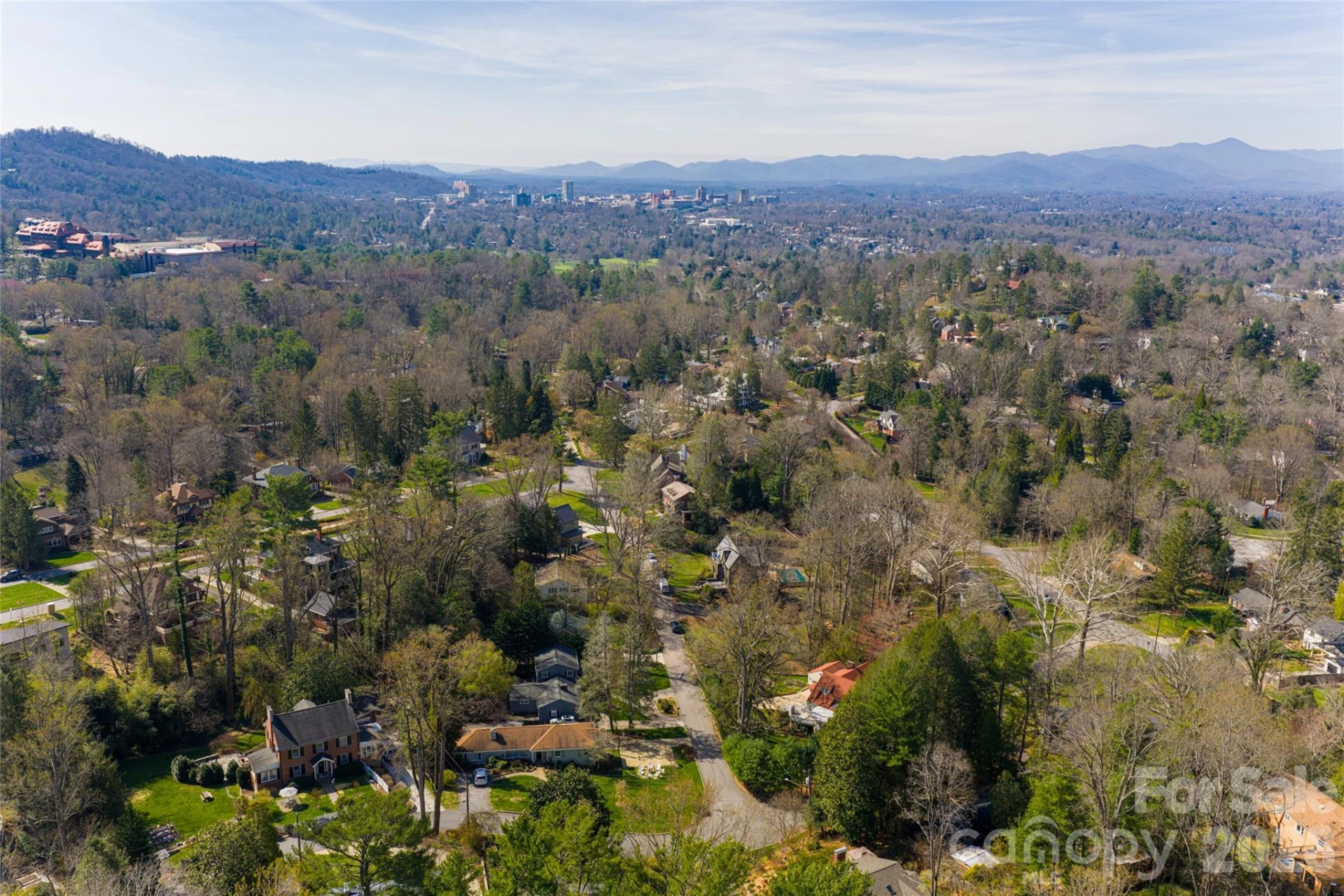 25 Blackwood Road - Photo 5
