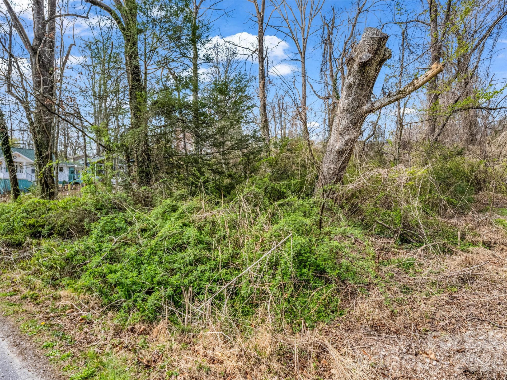 Lot 27 Georgia Avenue - Photo 18