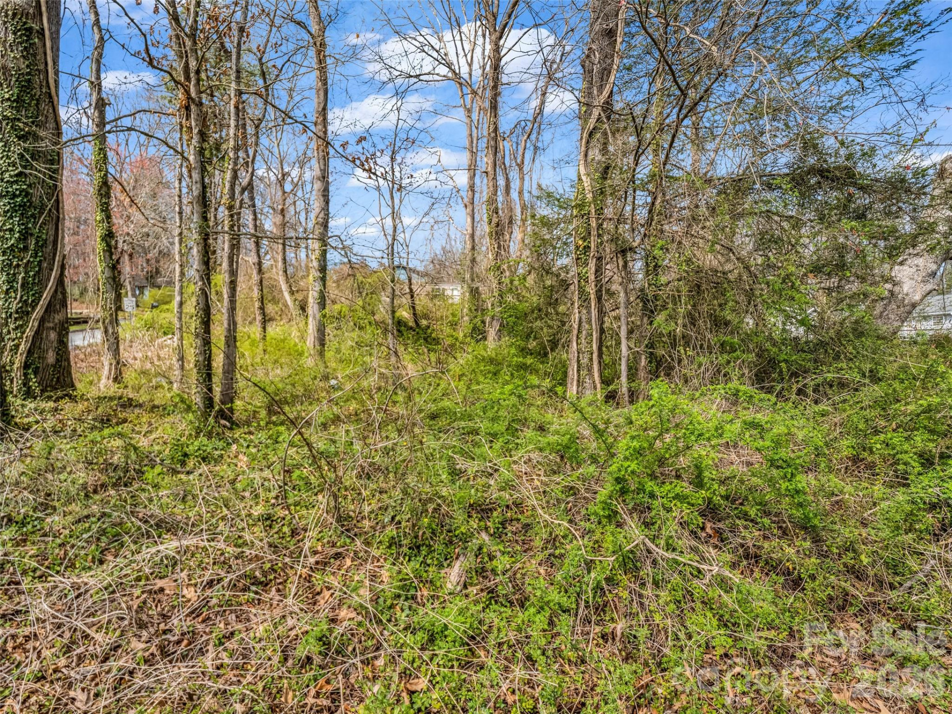 Lot 27 Georgia Avenue - Photo 19