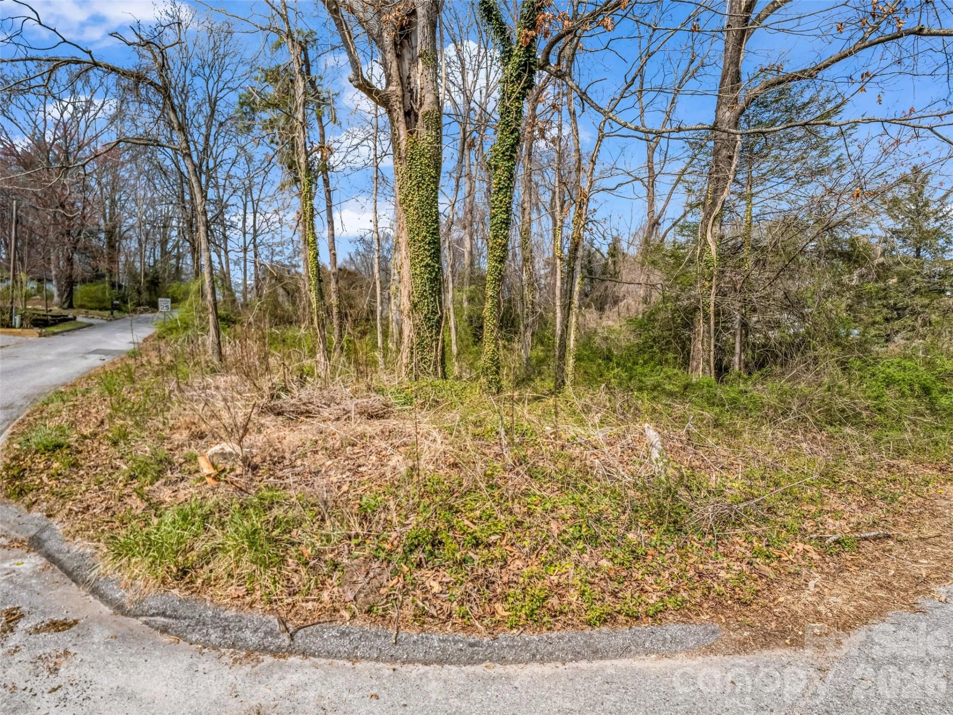 Lot 27 Georgia Avenue - Photo 20