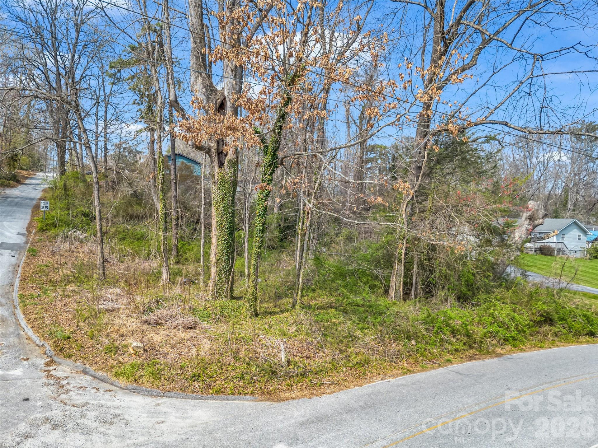 Lot 27 Georgia Avenue - Photo 3