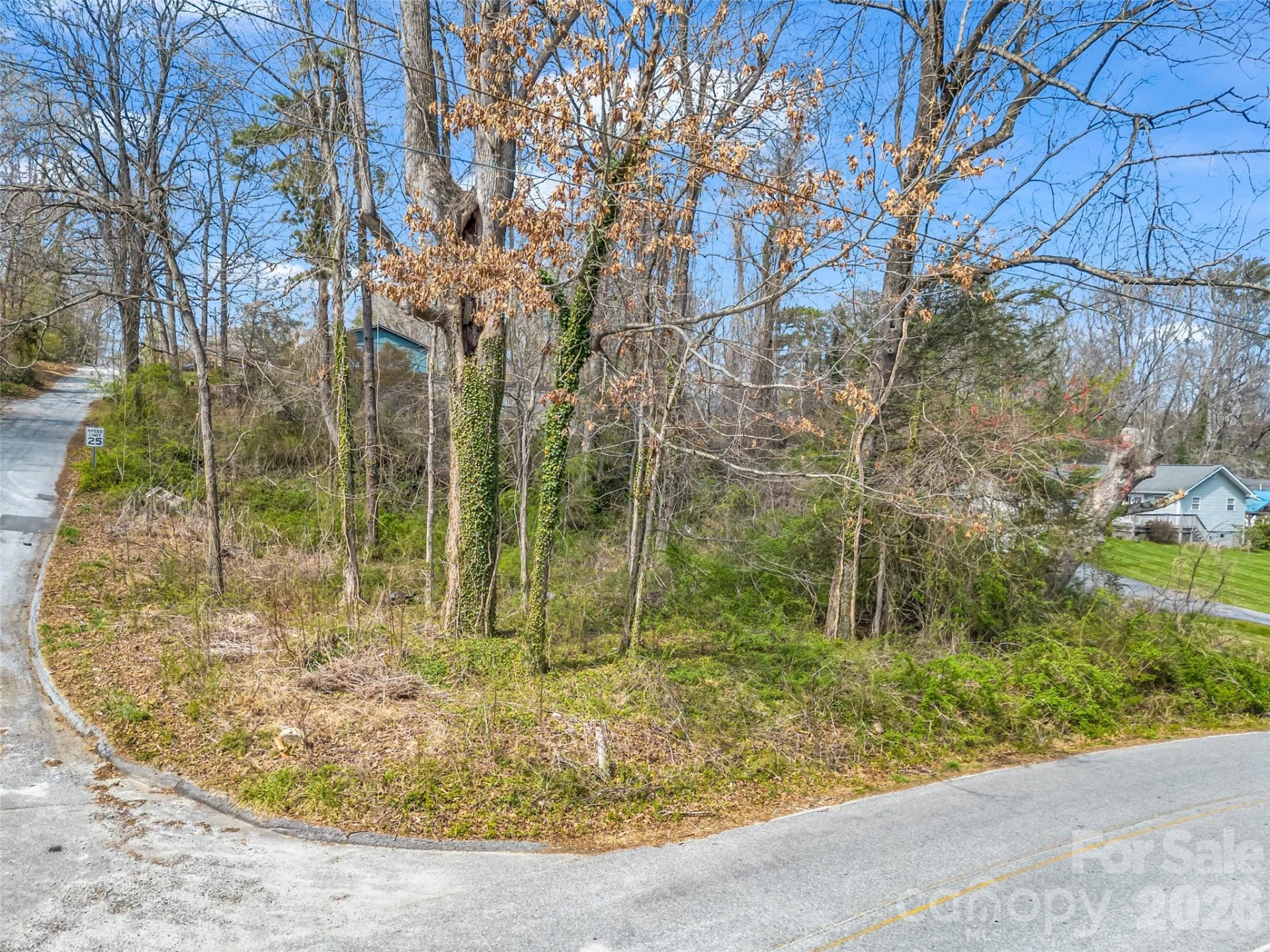 Lot 27 Georgia Avenue - Photo 3