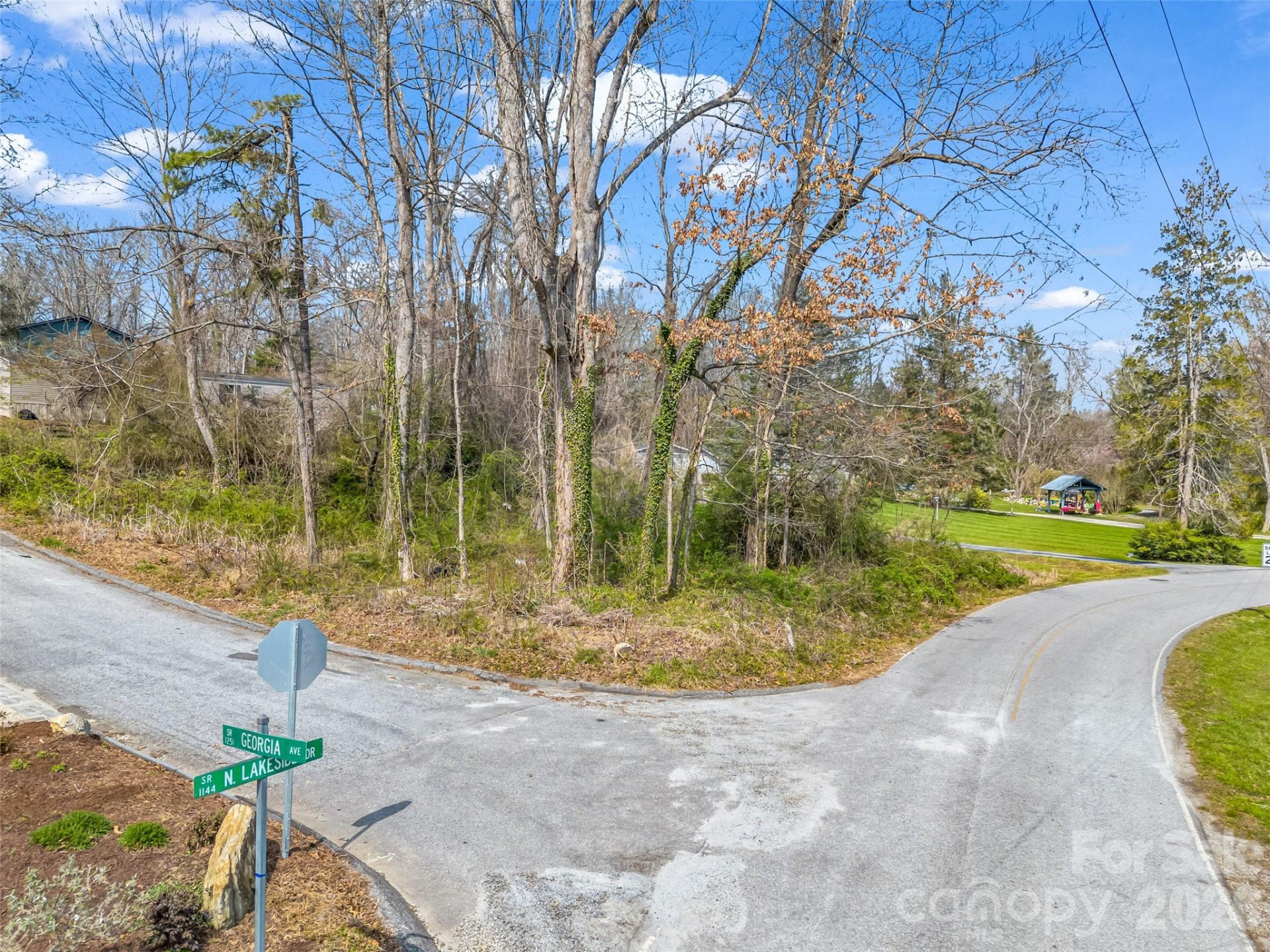 Lot 27 Georgia Avenue - Photo 5