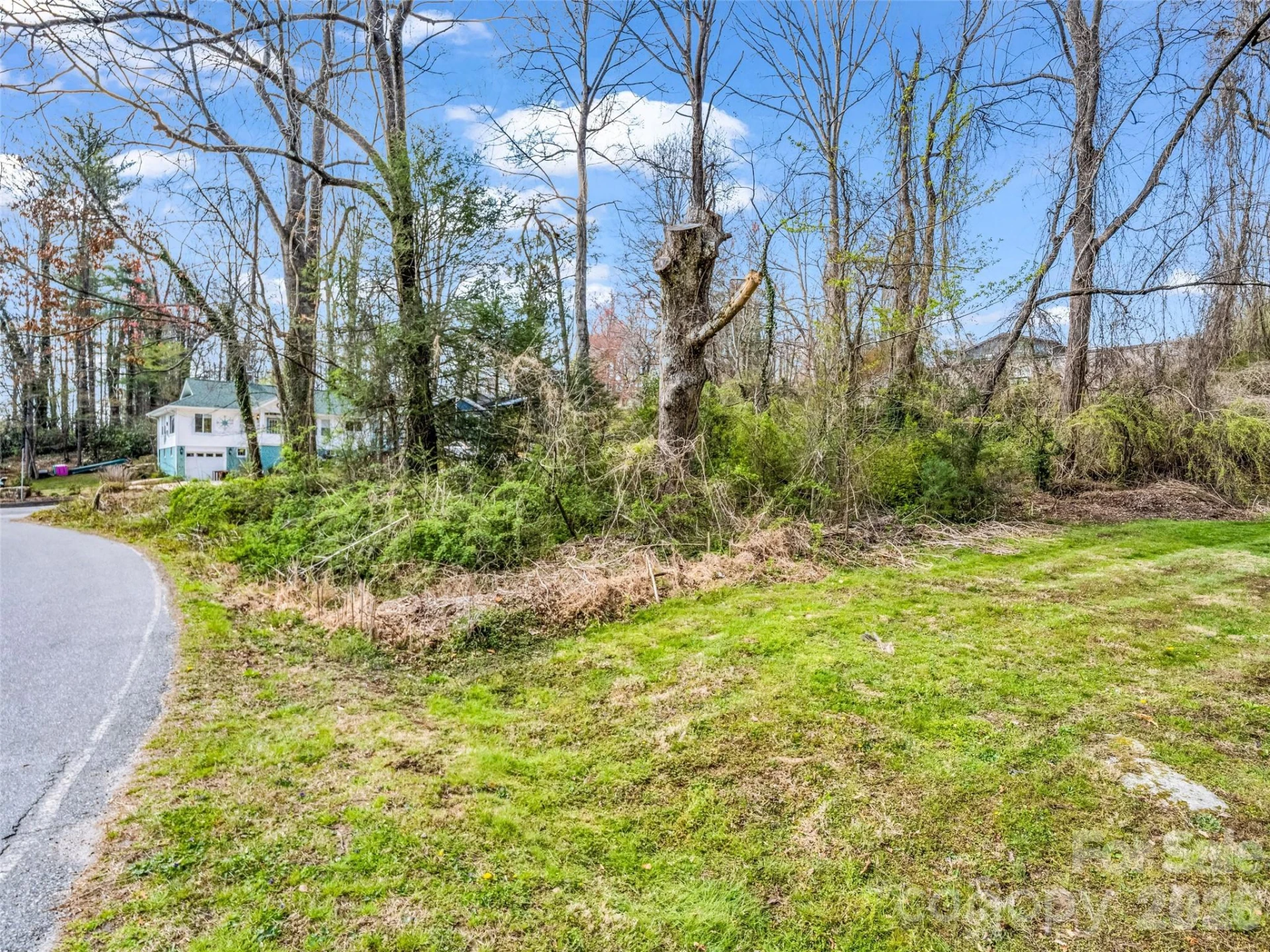 Lot 27 Georgia Avenue - Photo 7