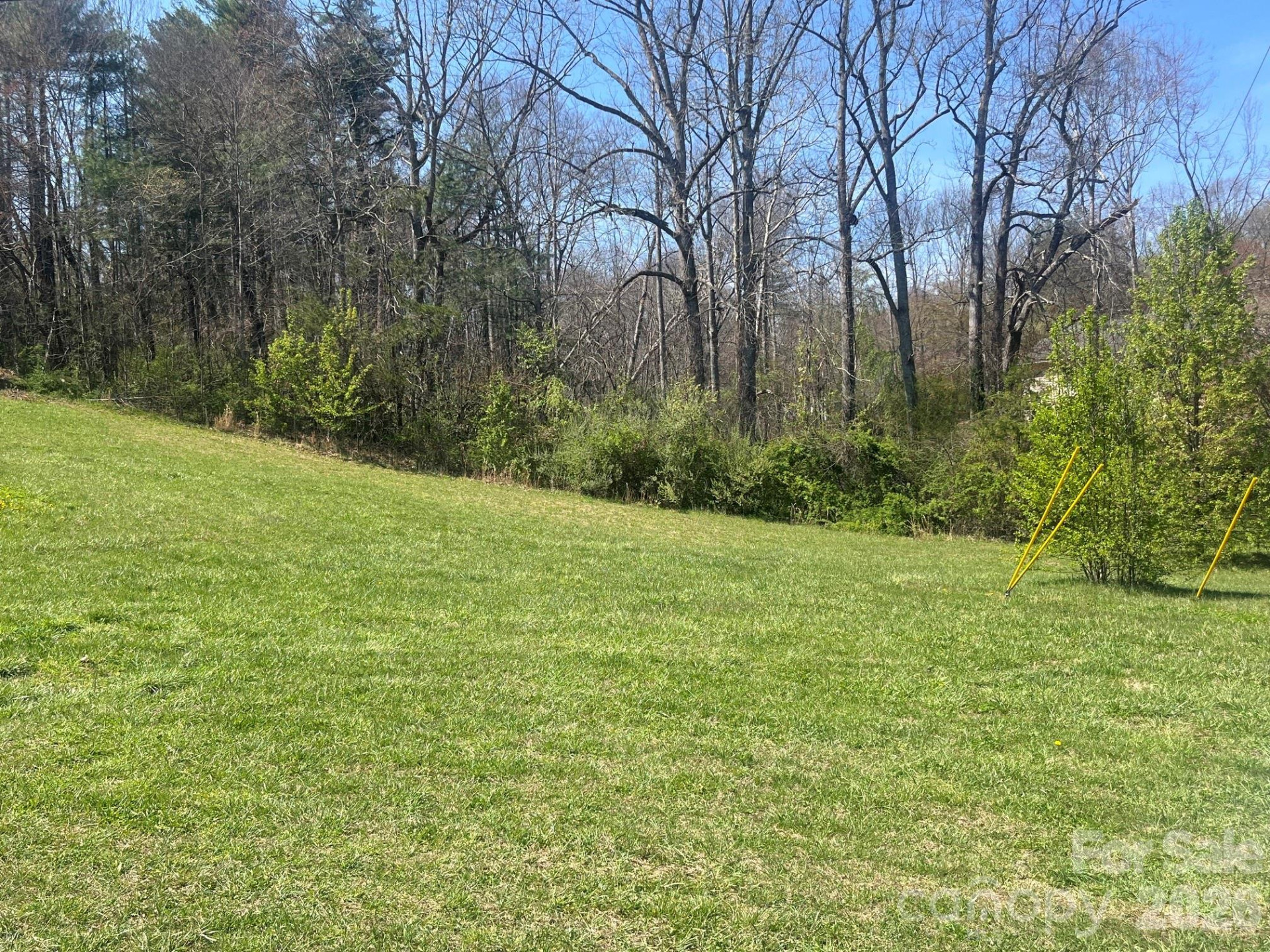 00 Chestnut Gap Road - Photo 2