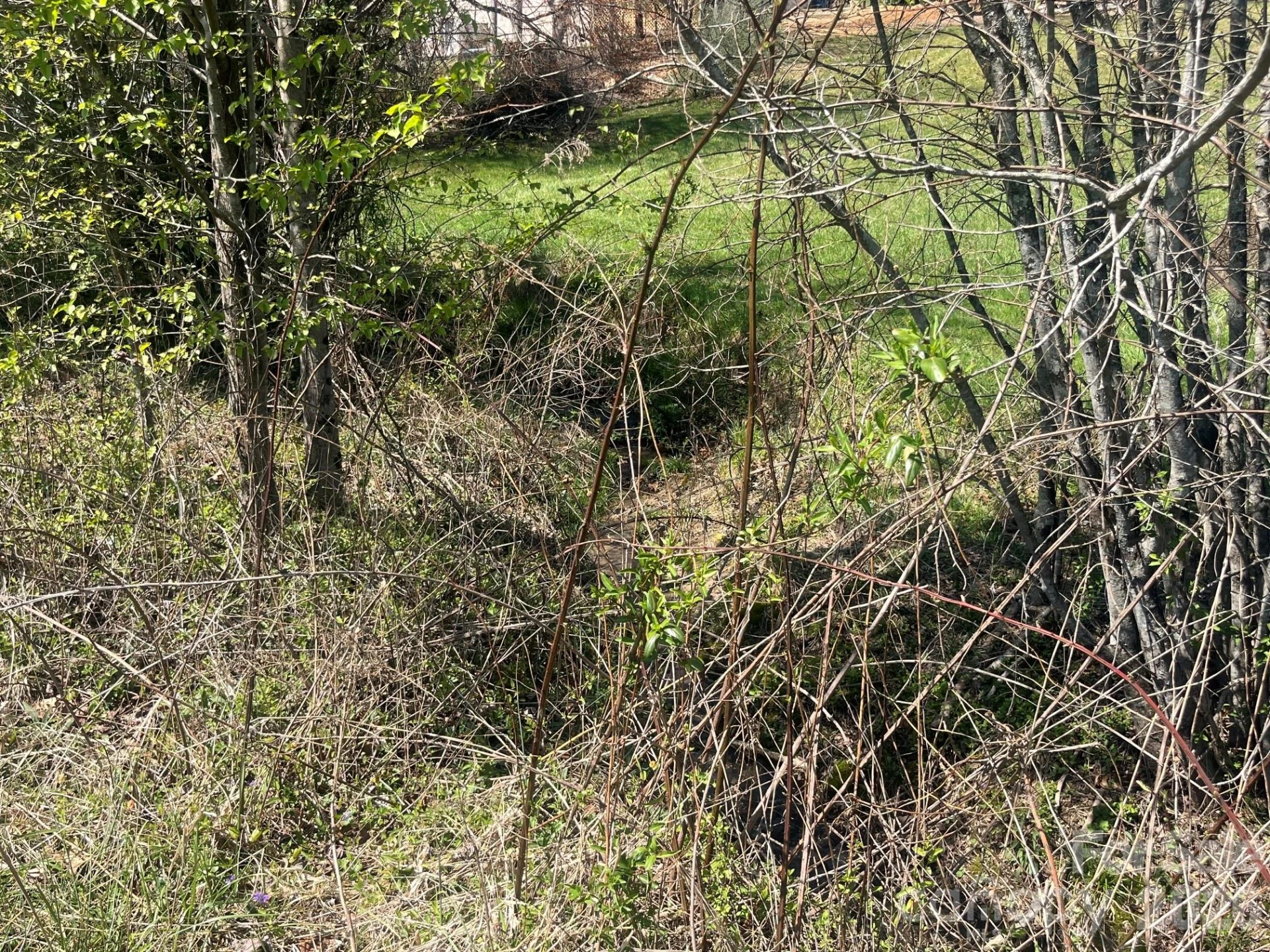 00 Chestnut Gap Road - Photo 5