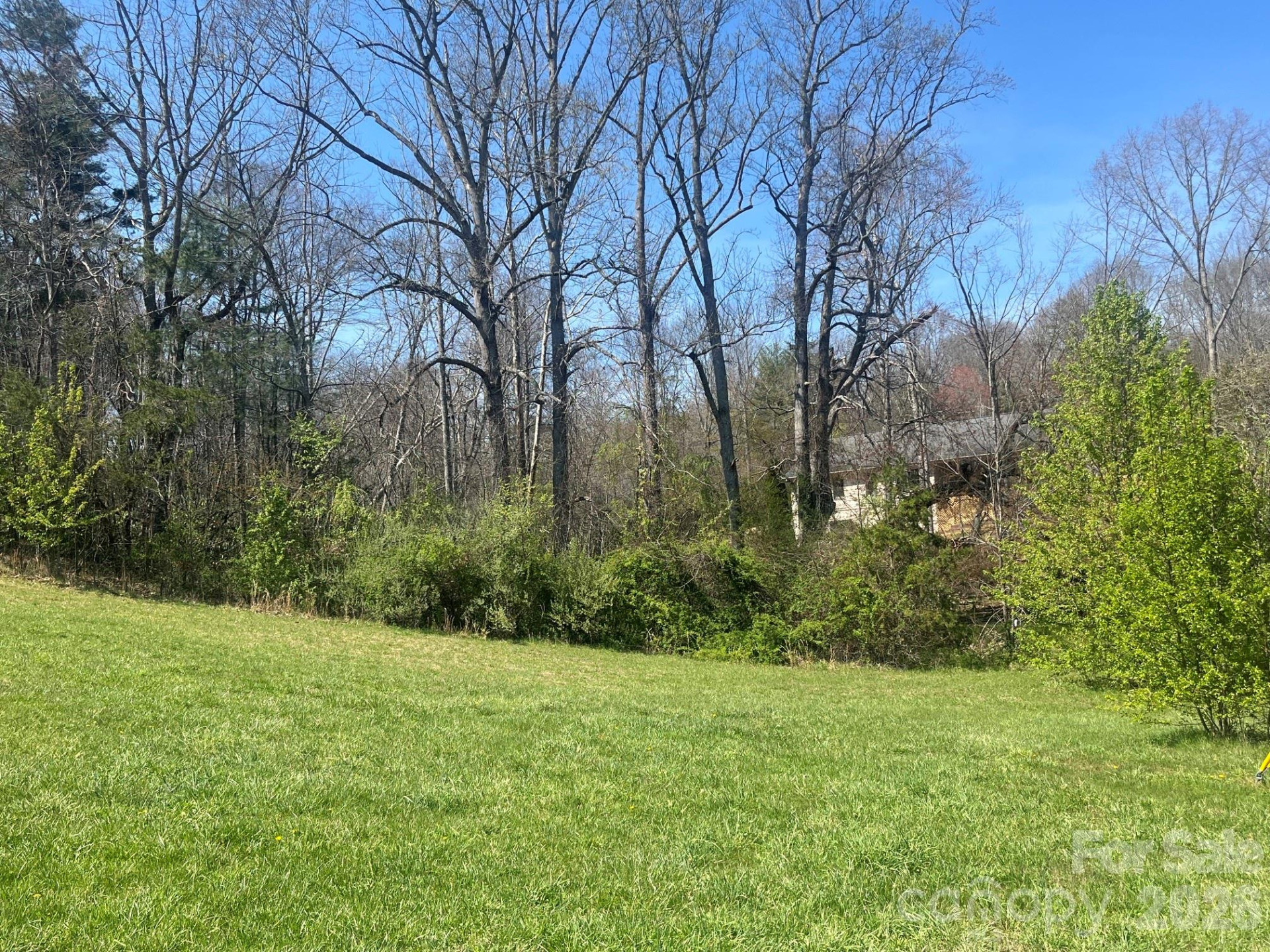 00 Chestnut Gap Road - Photo 6