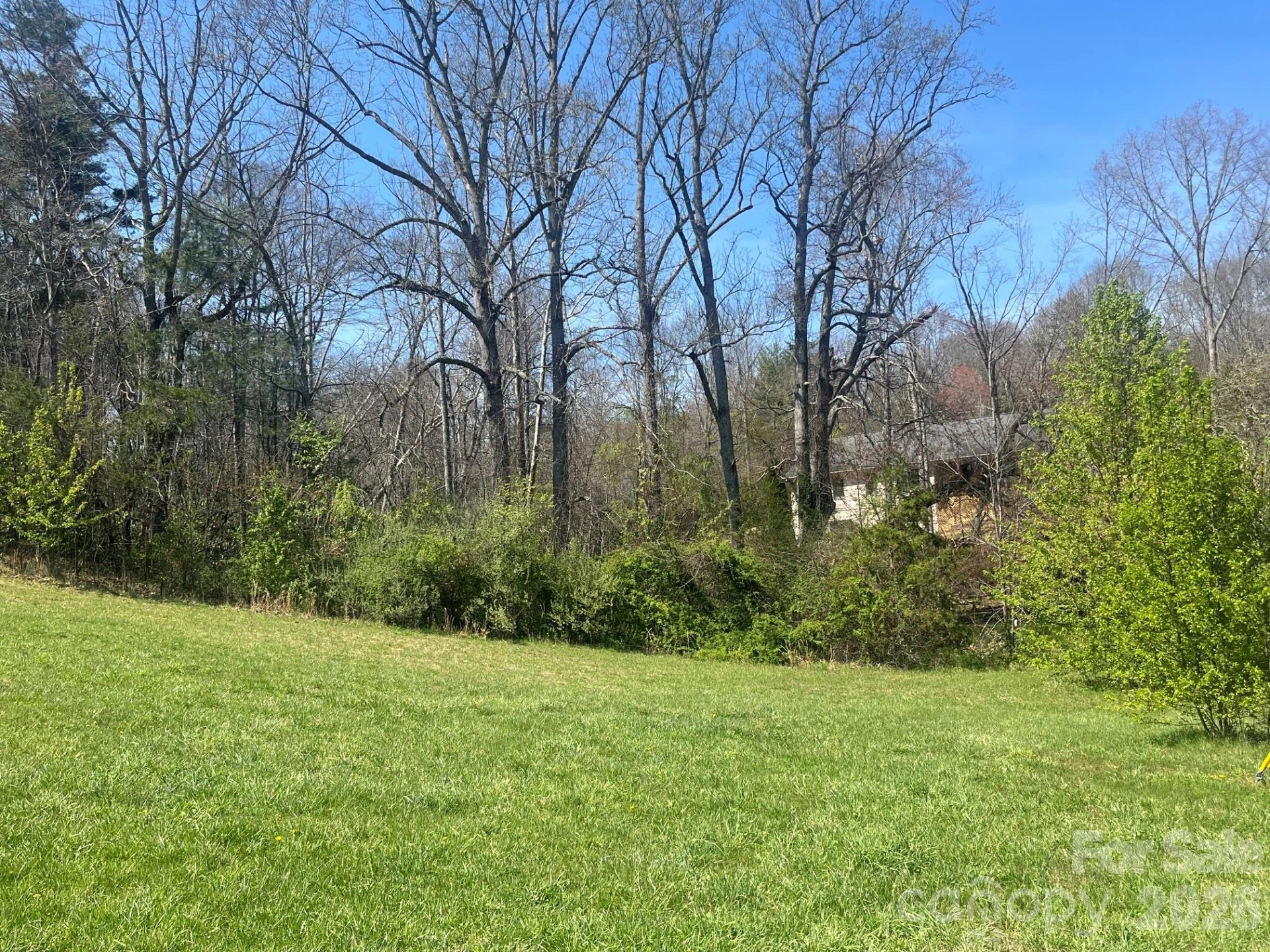00 Chestnut Gap Road - Photo 6