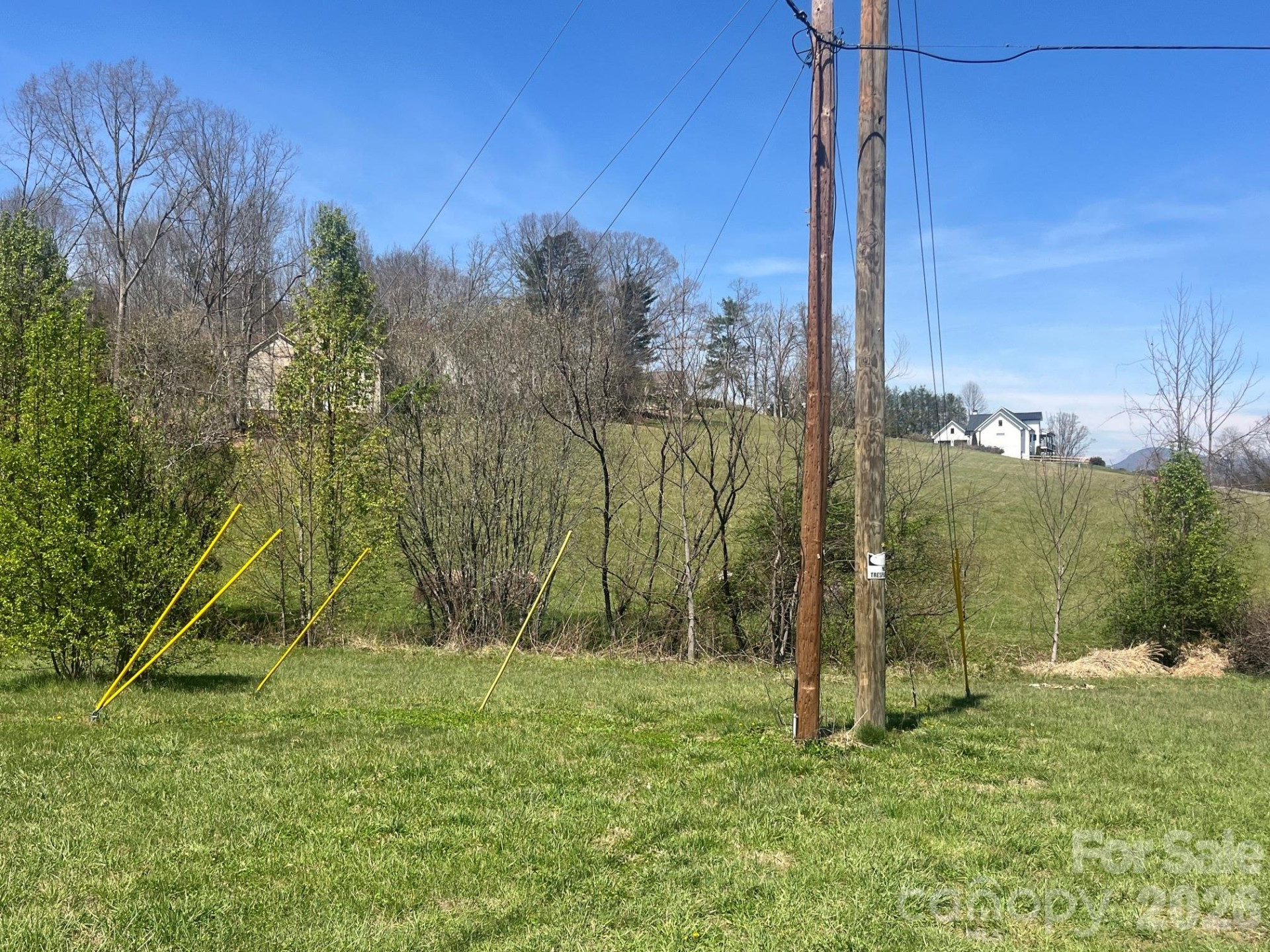 00 Chestnut Gap Road - Photo 7