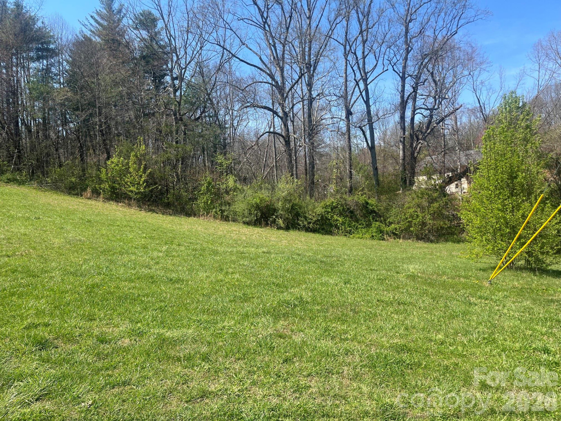 00 Chestnut Gap Road - Photo 8