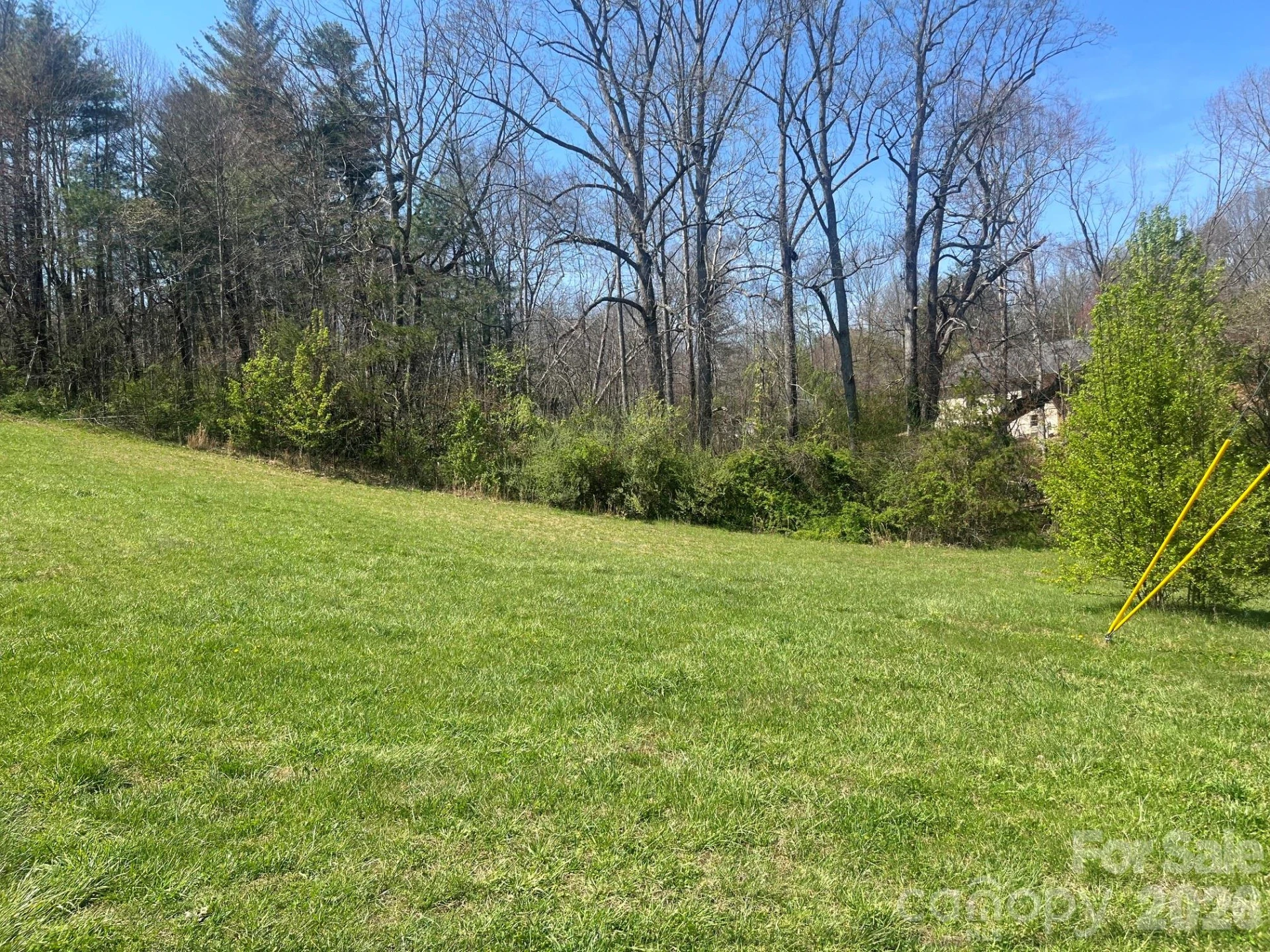 00 Chestnut Gap Road - Photo 8