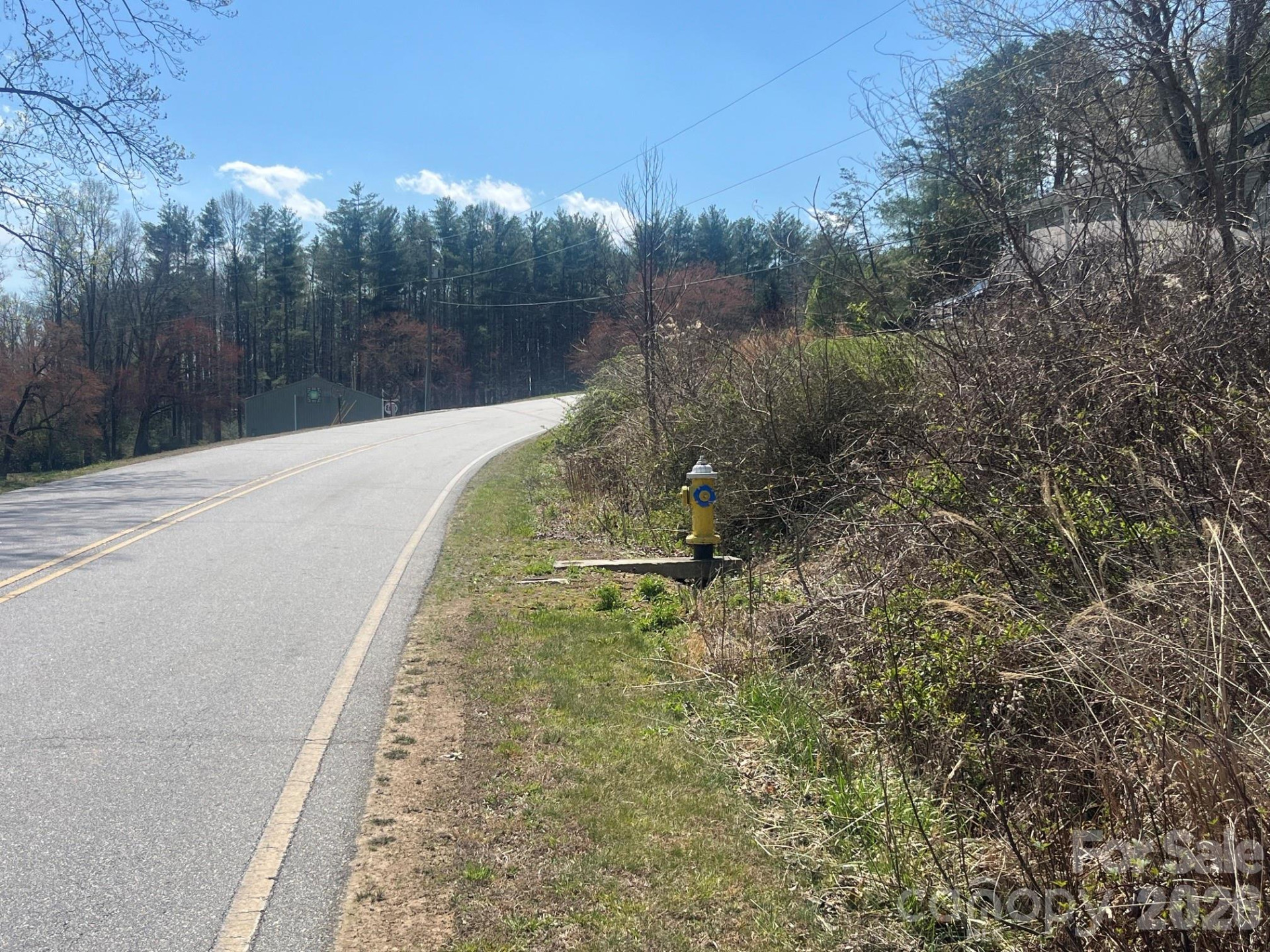 00 Chestnut Gap Road - Photo 9