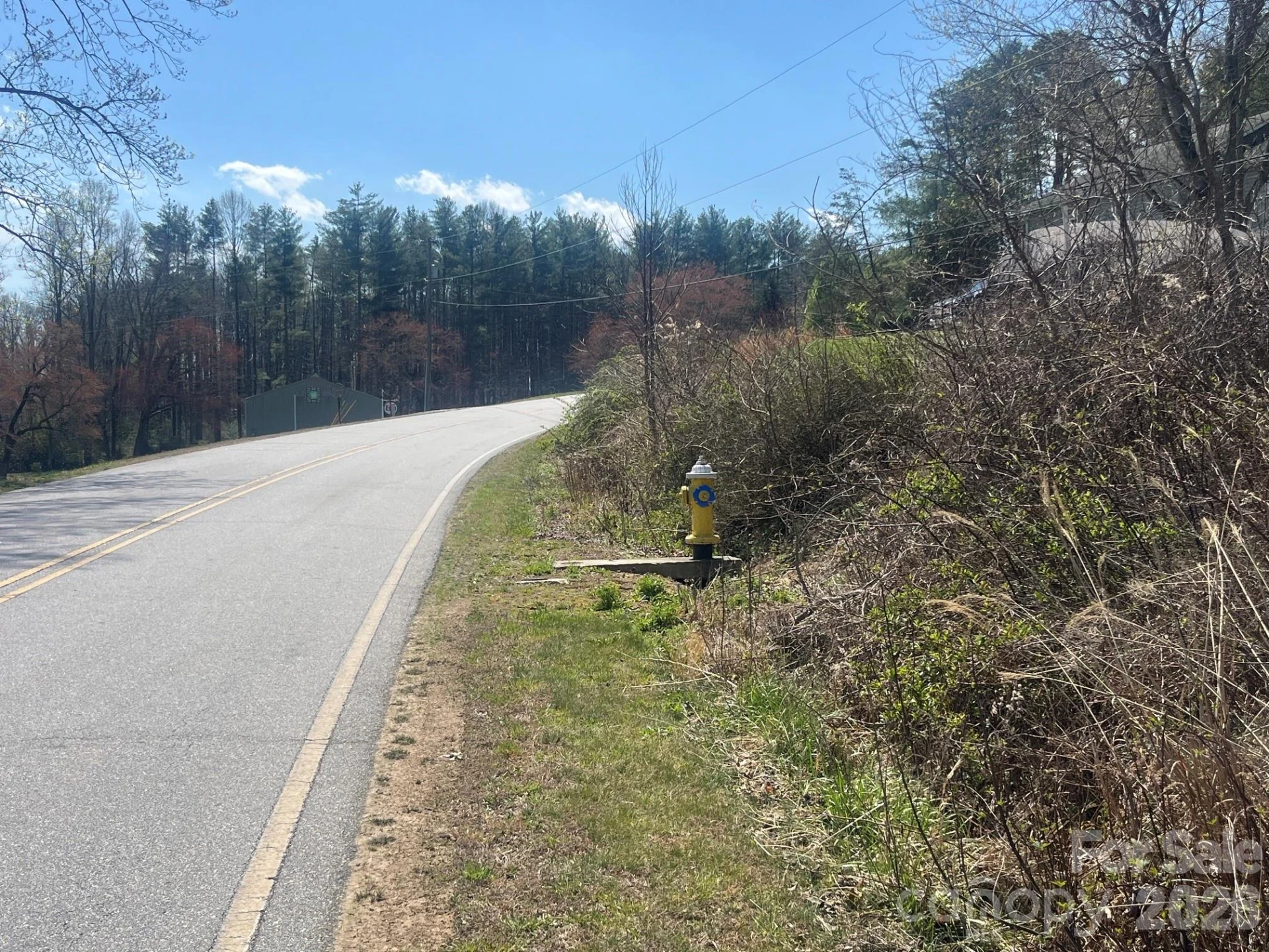 00 Chestnut Gap Road - Photo 9
