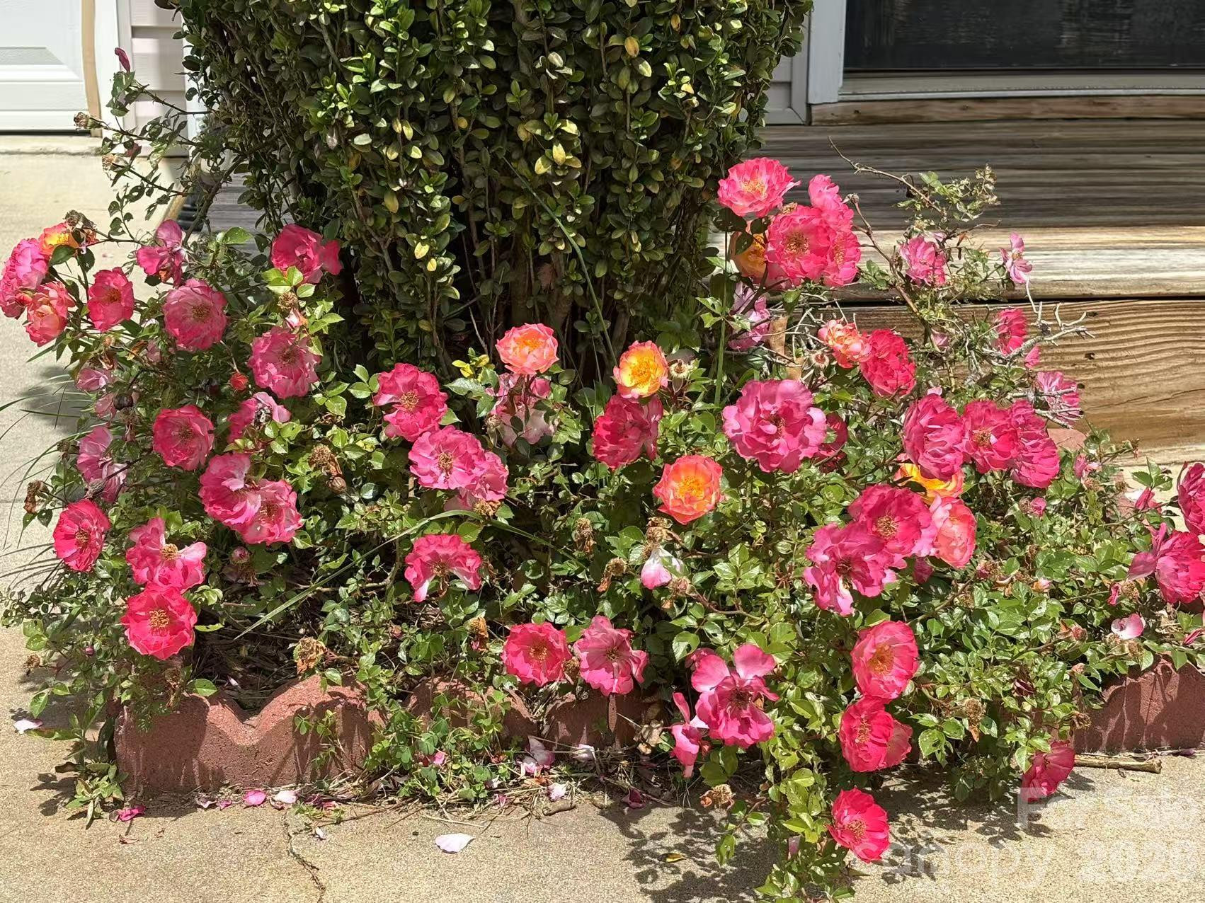 149 Alpine Ridge Drive - Photo 3