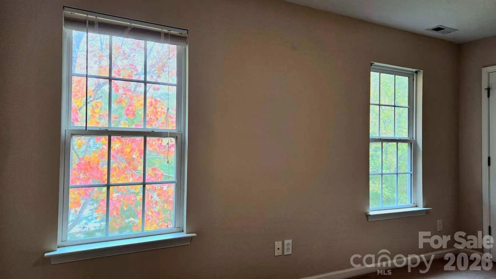 149 Alpine Ridge Drive - Photo 4