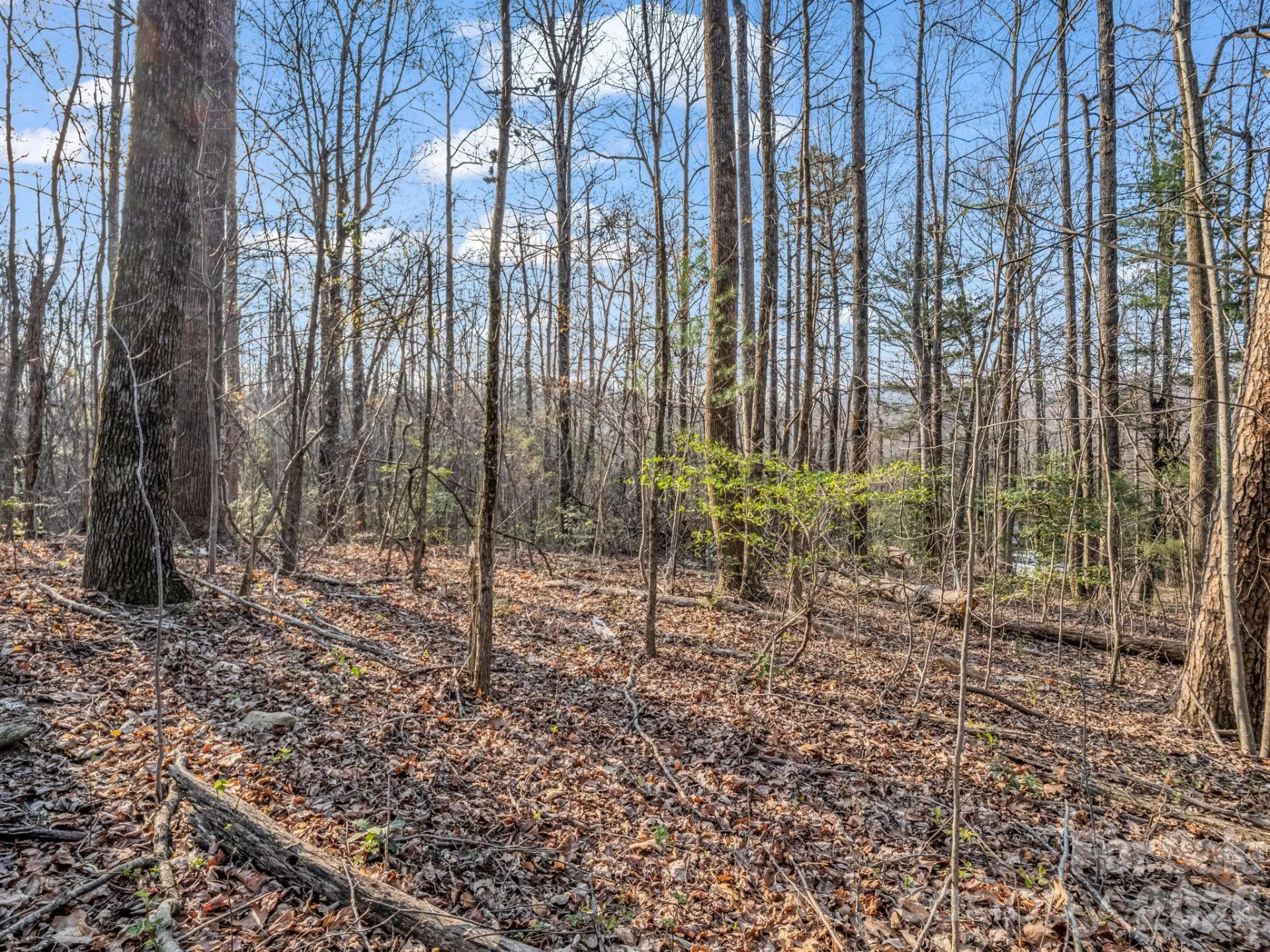 TBD Mountain Lakes Drive #460 - Photo 4