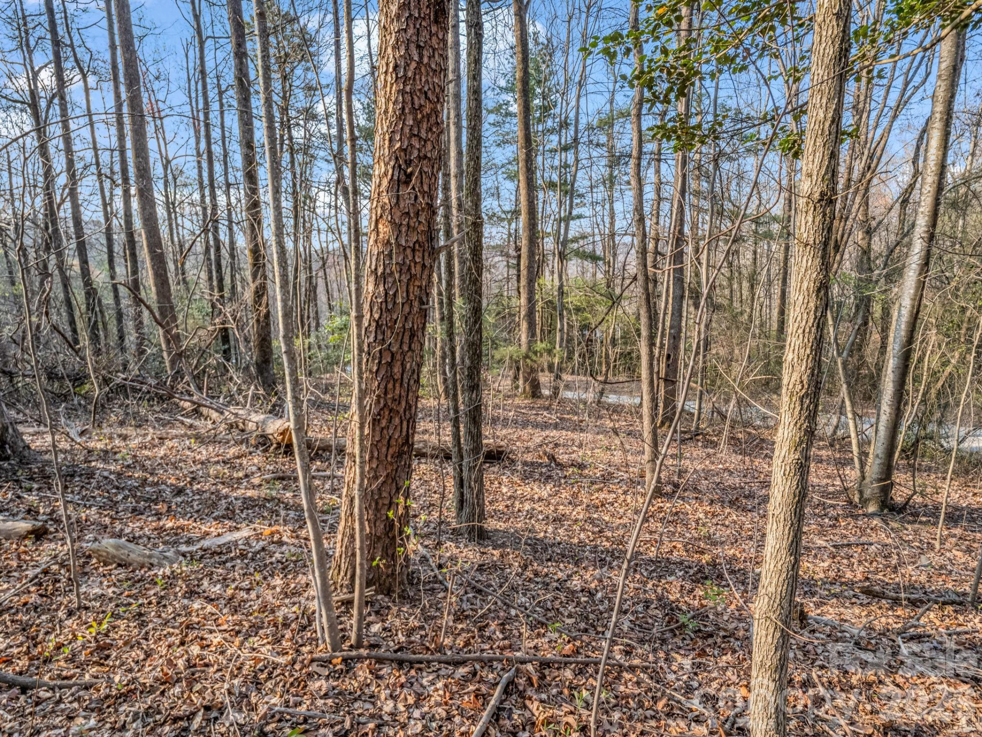 TBD Mountain Lakes Drive #460 - Photo 5