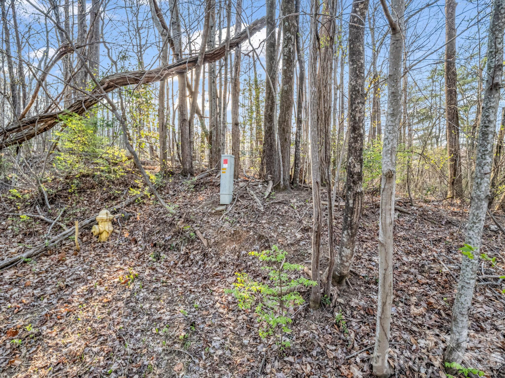 TBD Mountain Lakes Drive #460 - Photo 6