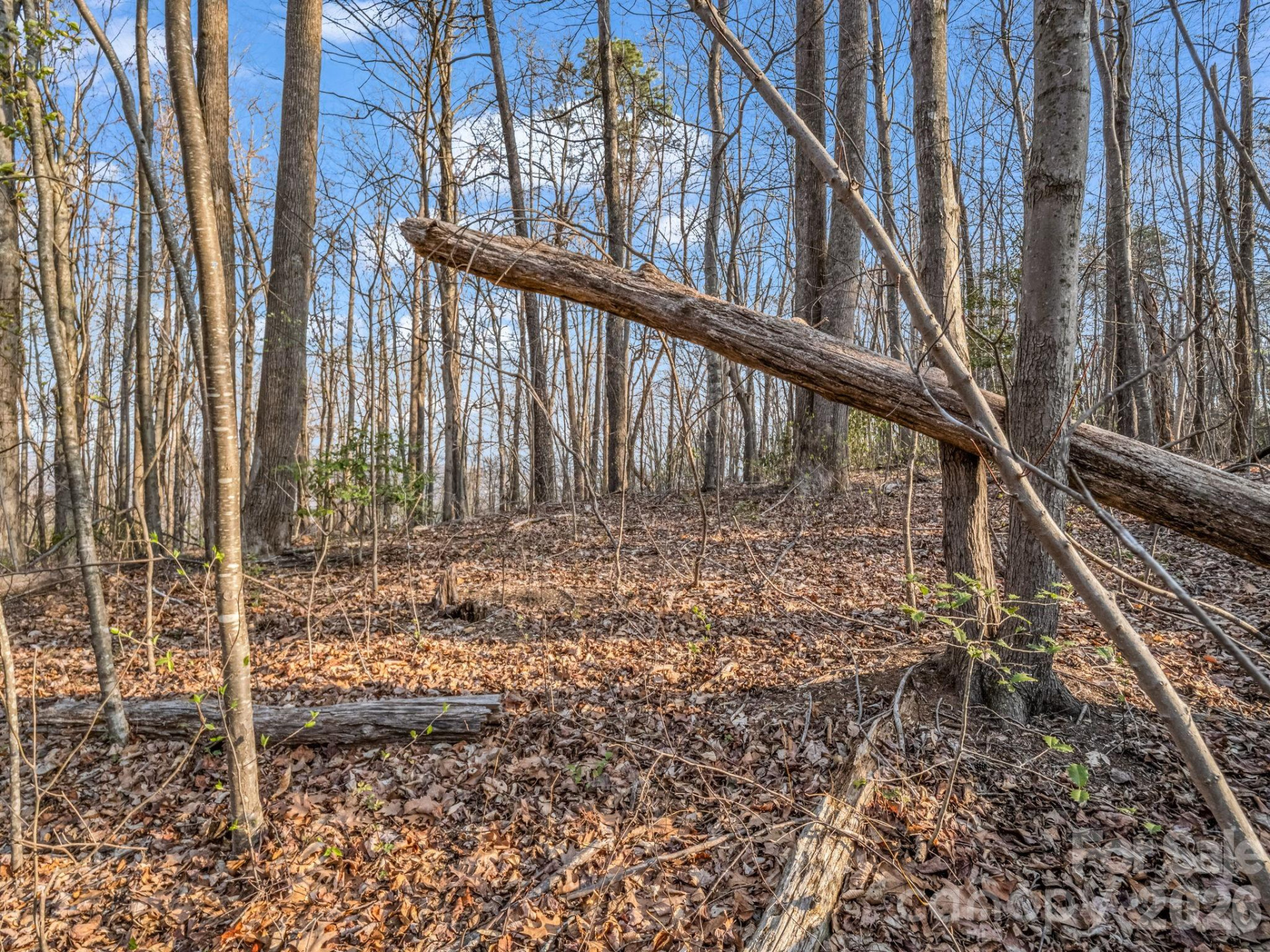 TBD Mountain Lakes Drive #460 - Photo 7