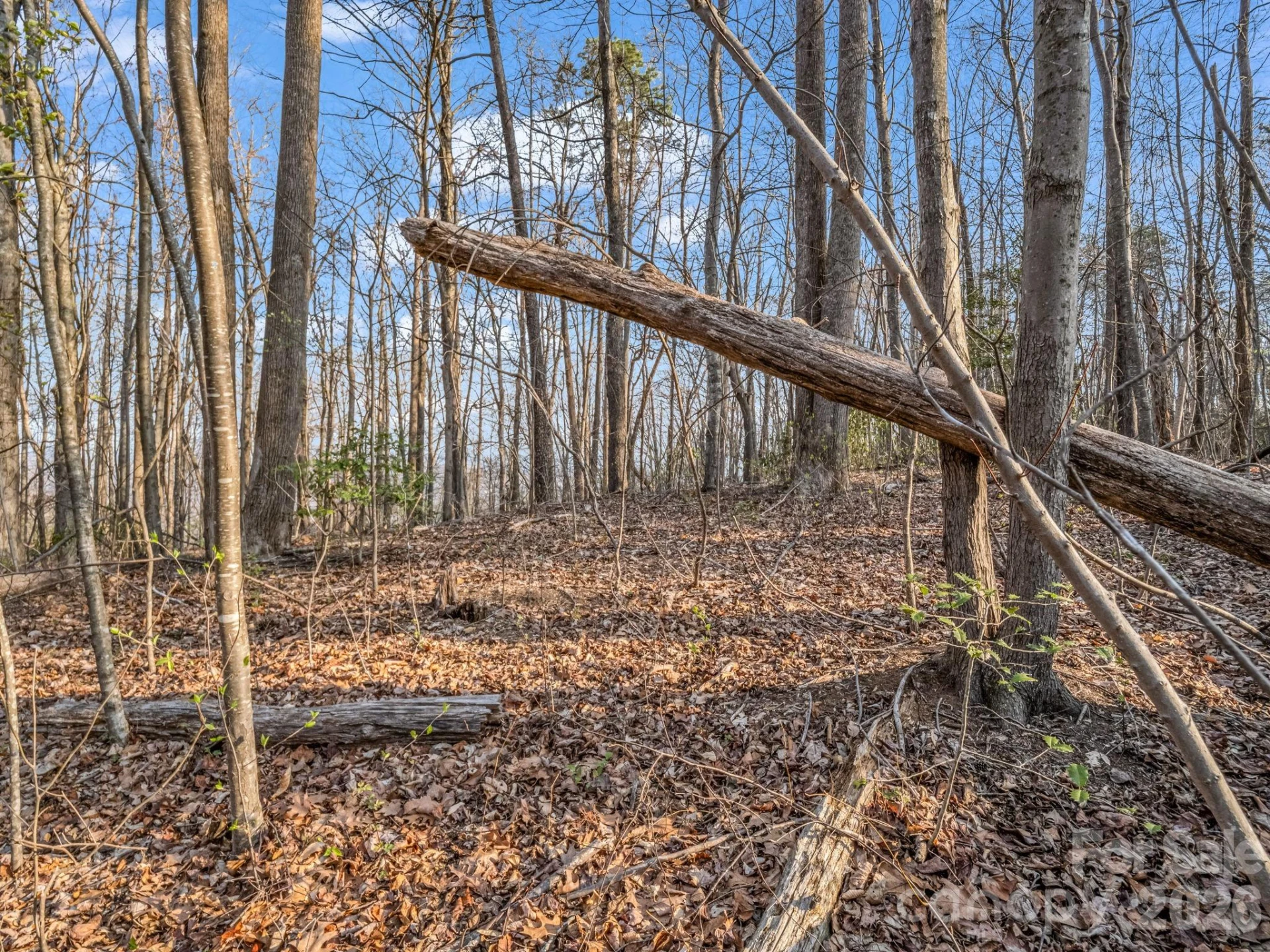 TBD Mountain Lakes Drive #460 - Photo 7