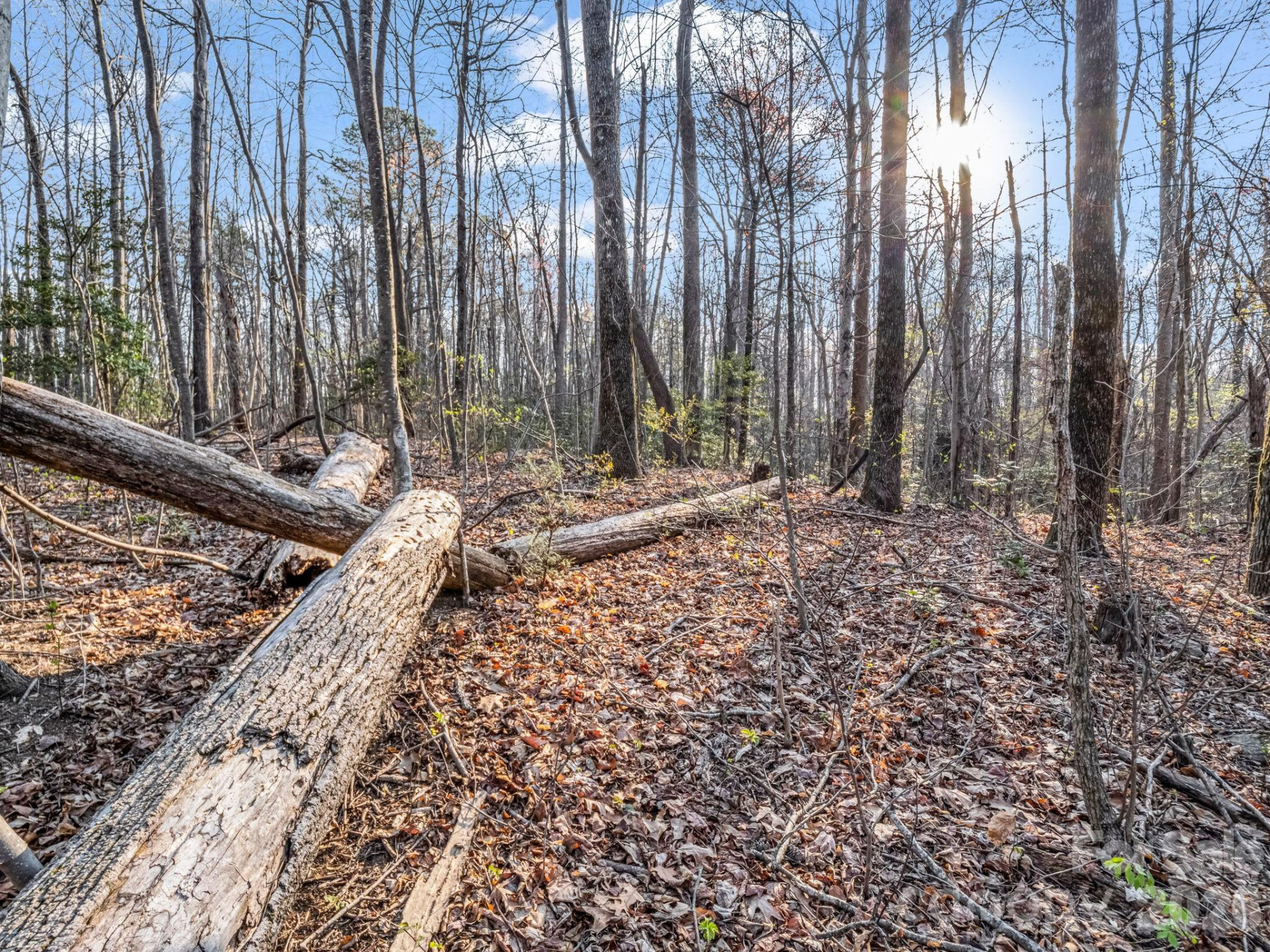 TBD Mountain Lakes Drive #460 - Photo 8