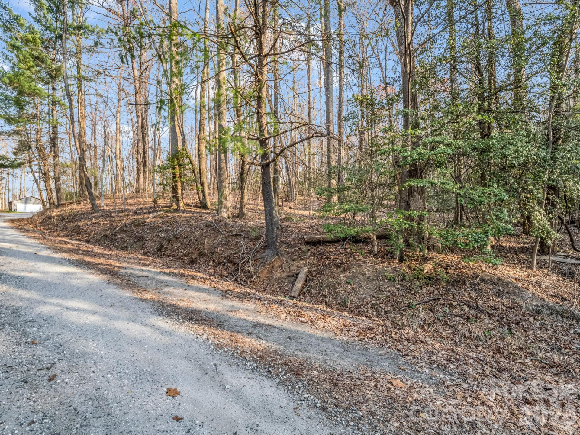 TBD Mountain Lakes Drive #460 - Photo 10