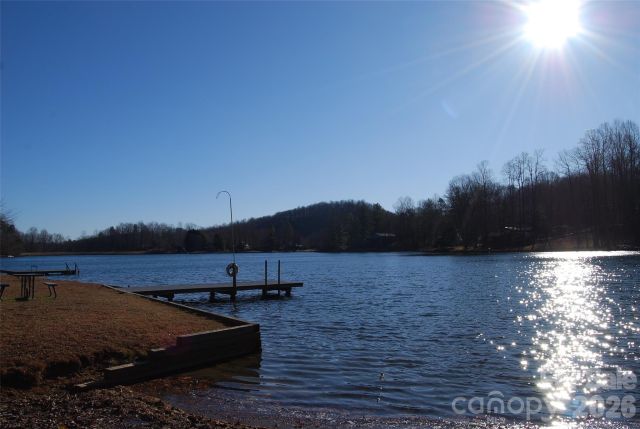 87 Pole Cat Road, Saluda, NC, 28773