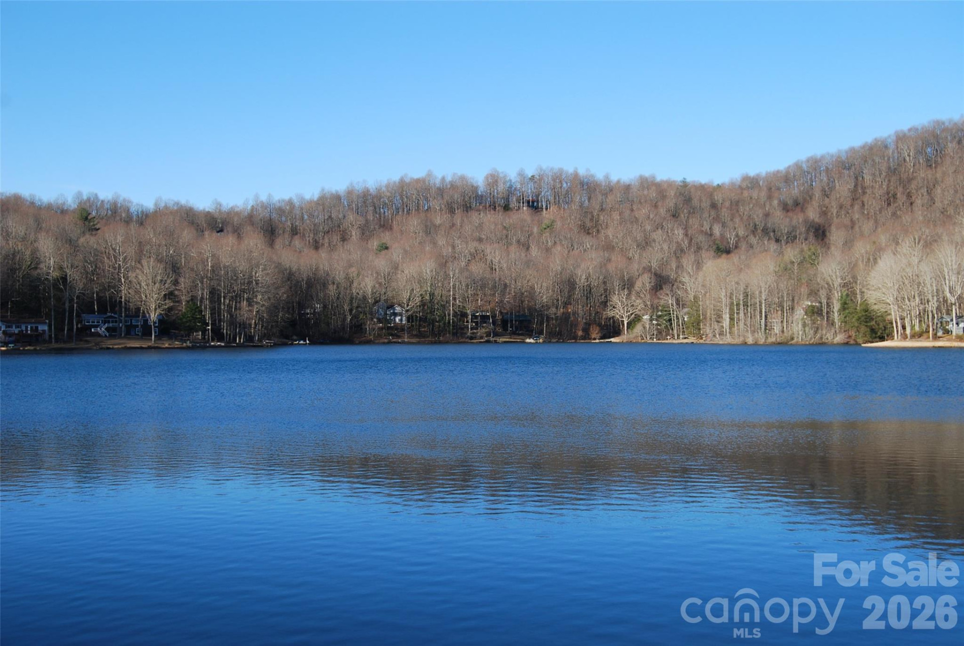 87 Pole Cat Road - Photo 3