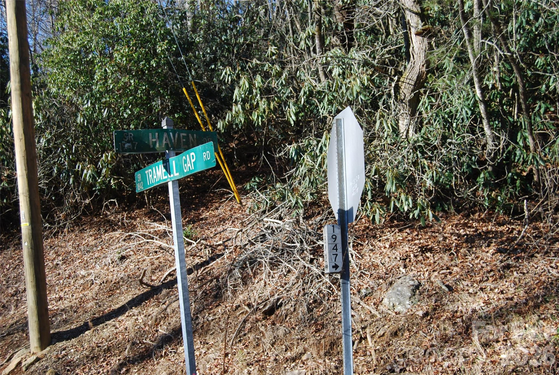 87 Pole Cat Road - Photo 5