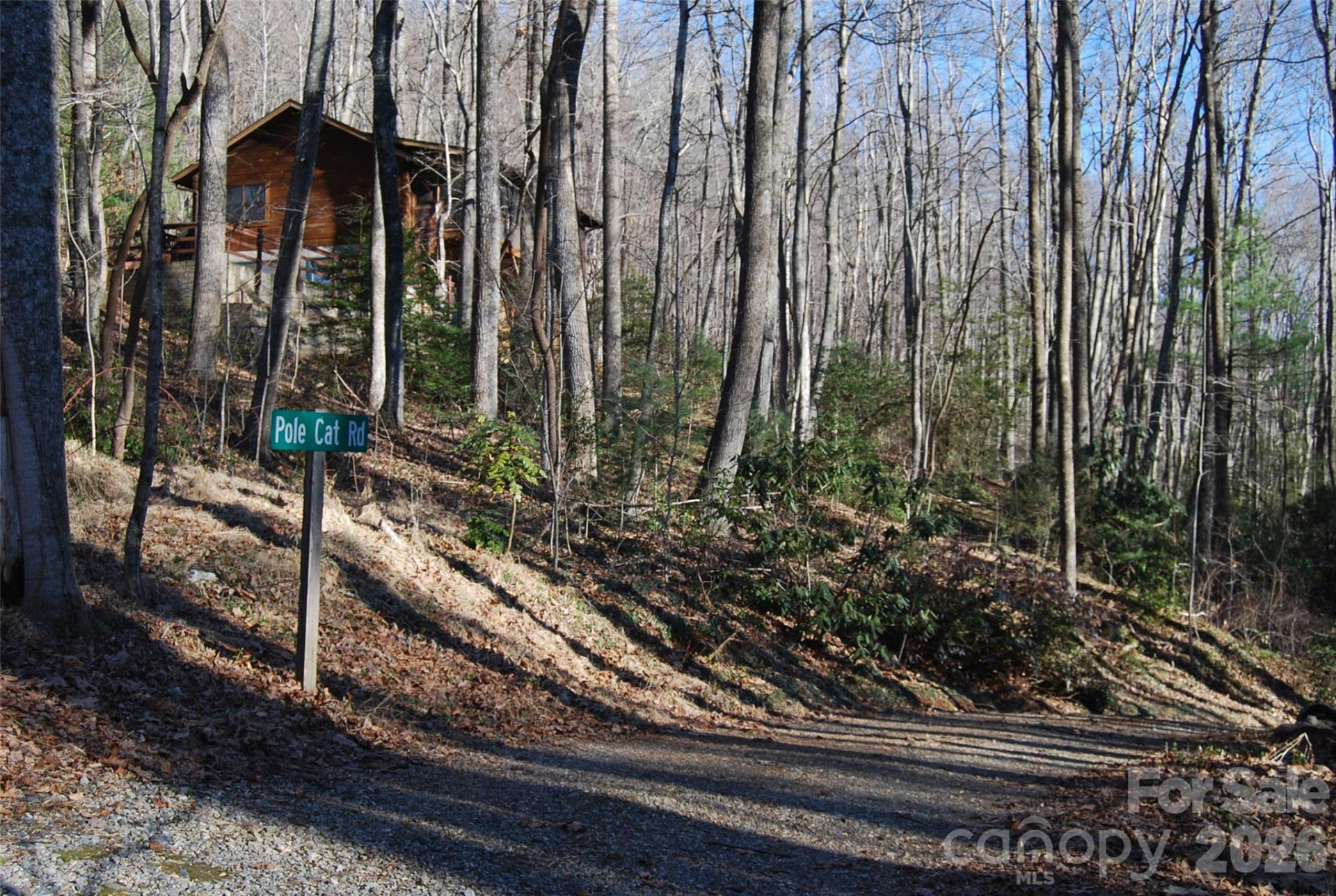 87 Pole Cat Road - Photo 6