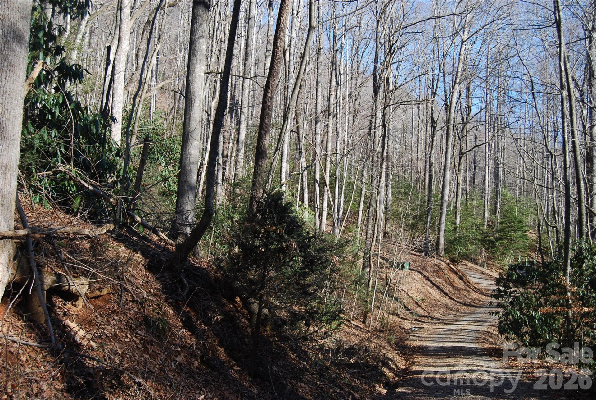 87 Pole Cat Road - Photo 7