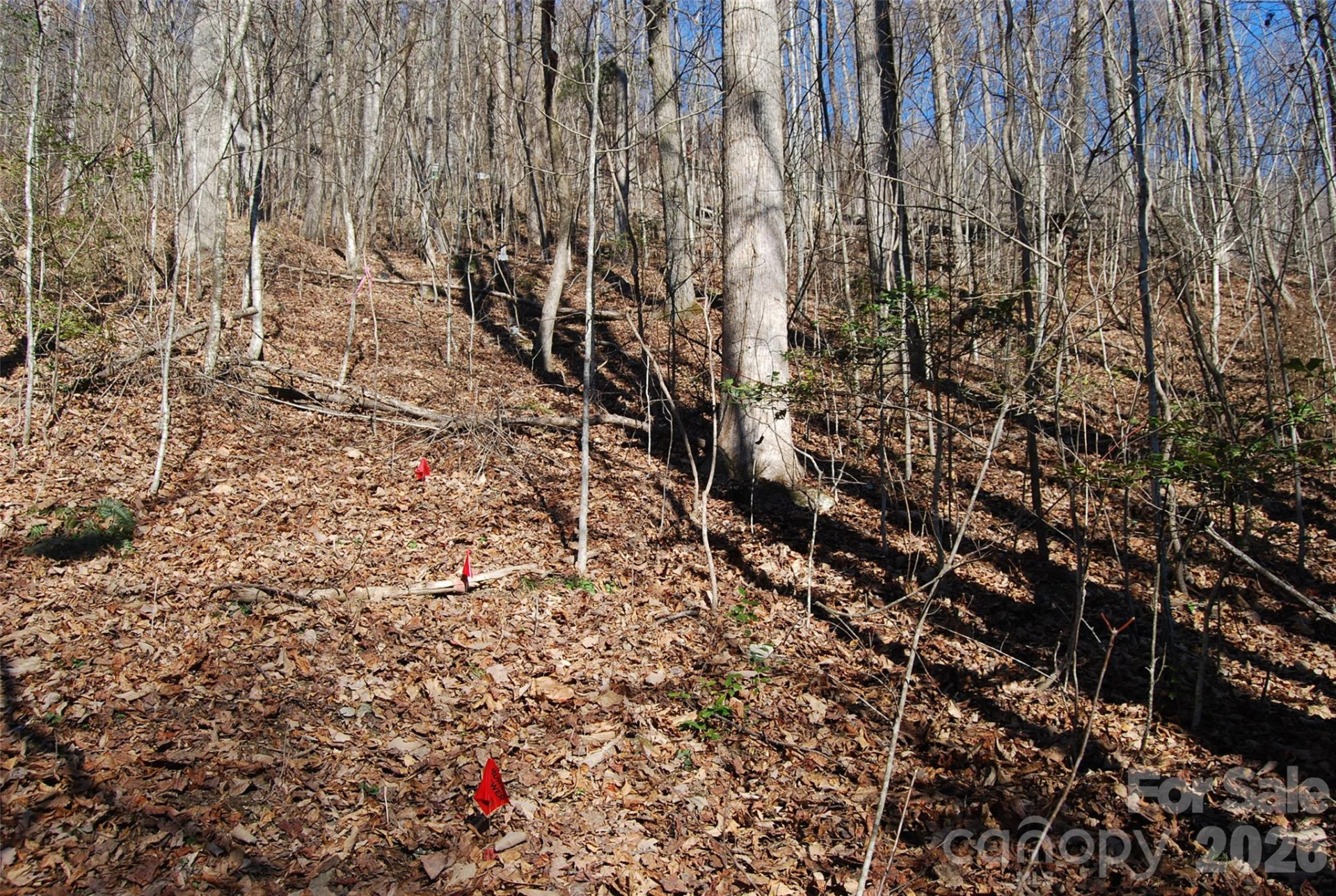 87 Pole Cat Road - Photo 8