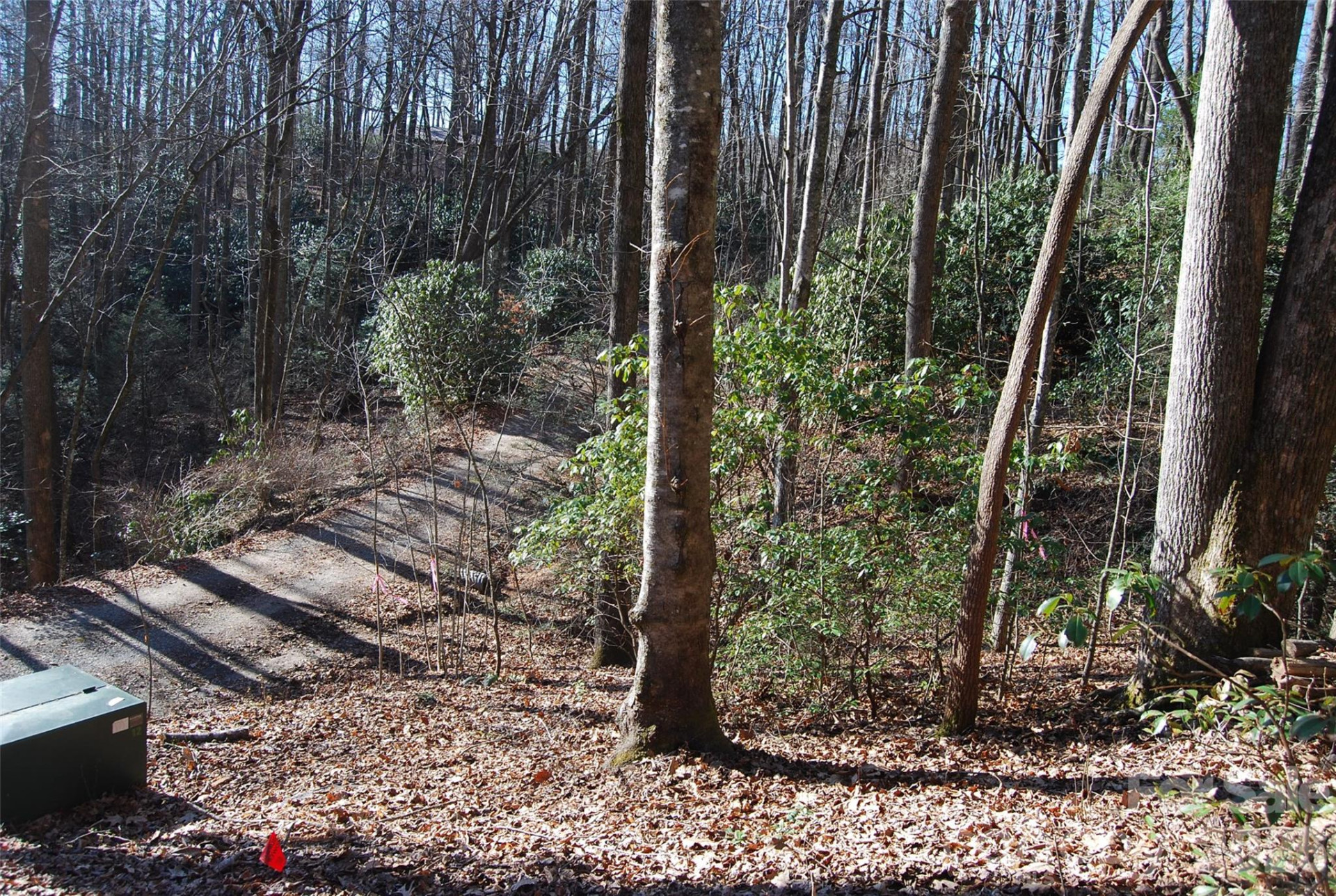 87 Pole Cat Road - Photo 9