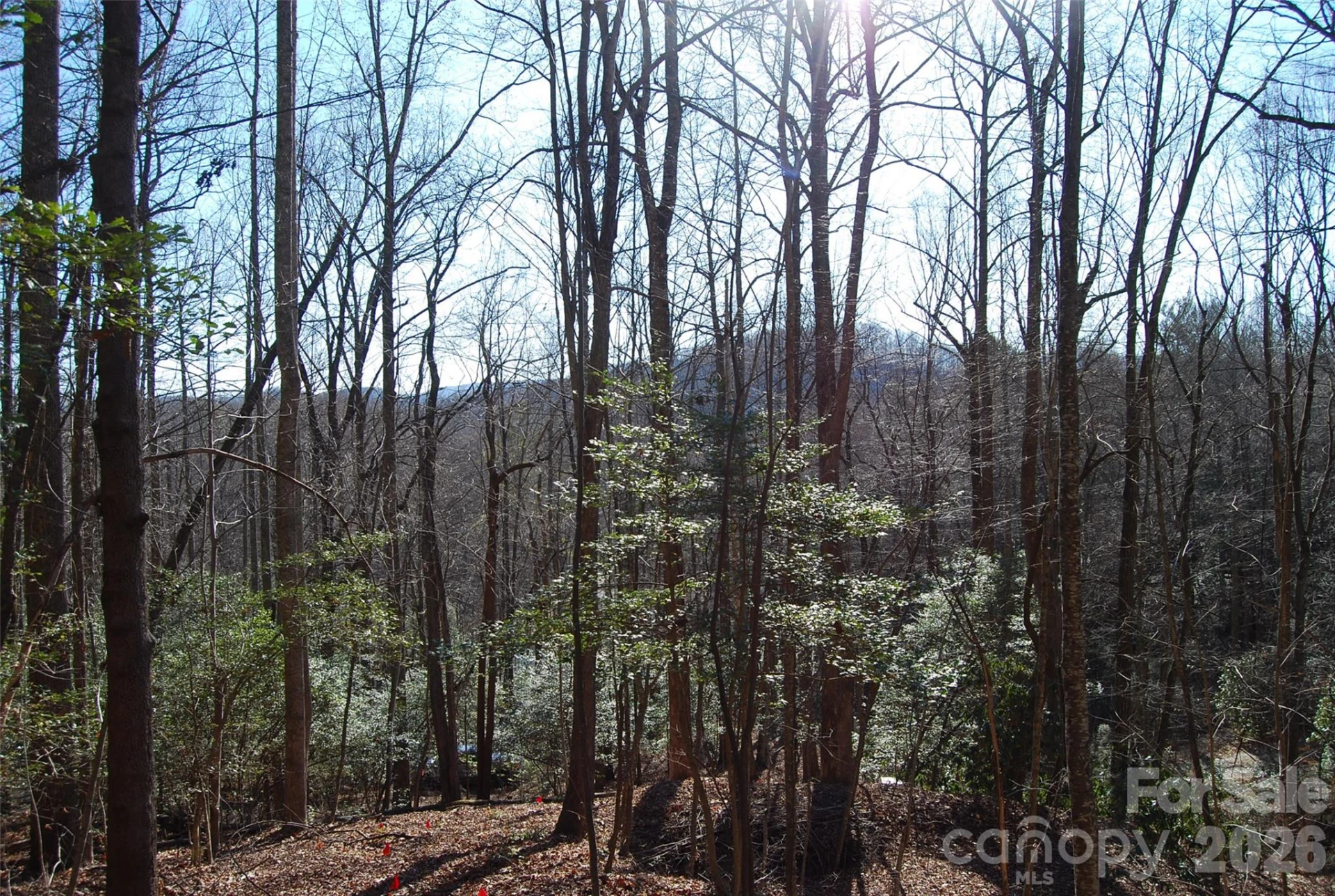 87 Pole Cat Road - Photo 10