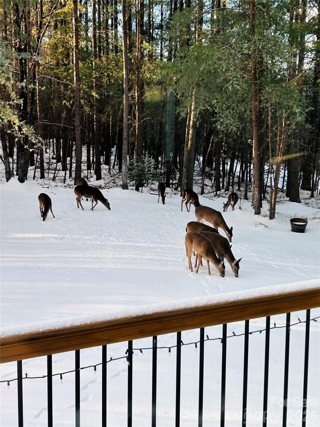 334 Arbra Mountain Way - Photo 24