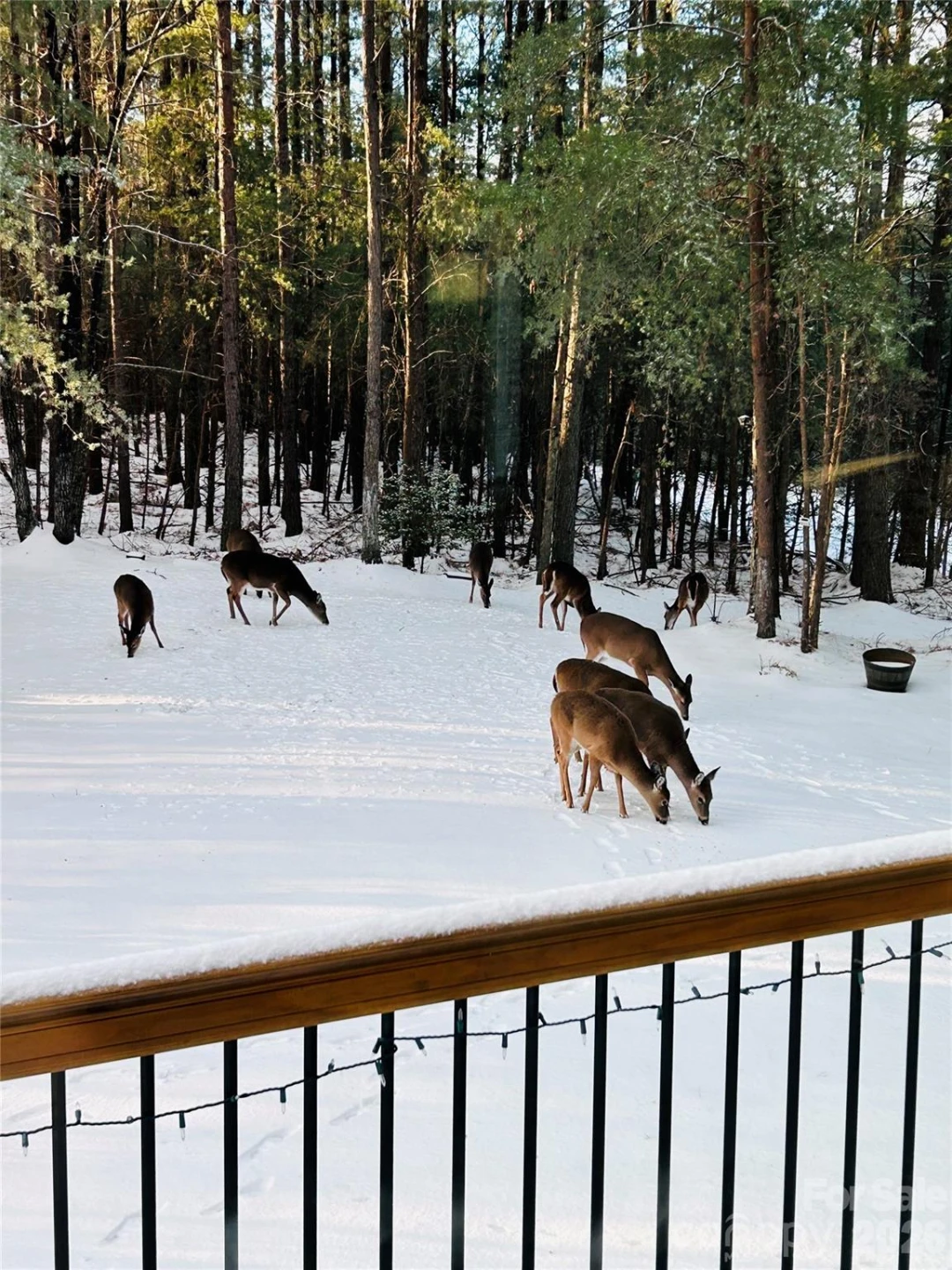 334 Arbra Mountain Way - Photo 24