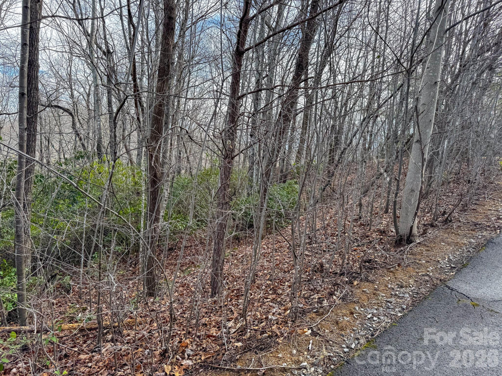 9999 Rainbow Falls Trail - Photo 2