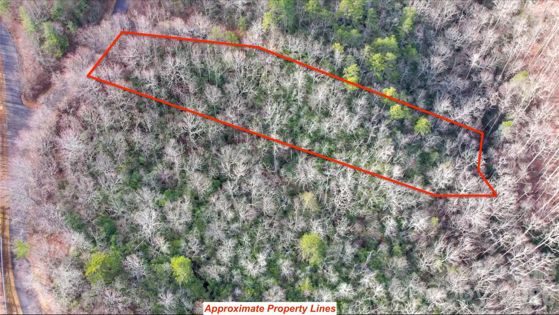 9999 Rainbow Falls Trail - Photo 5