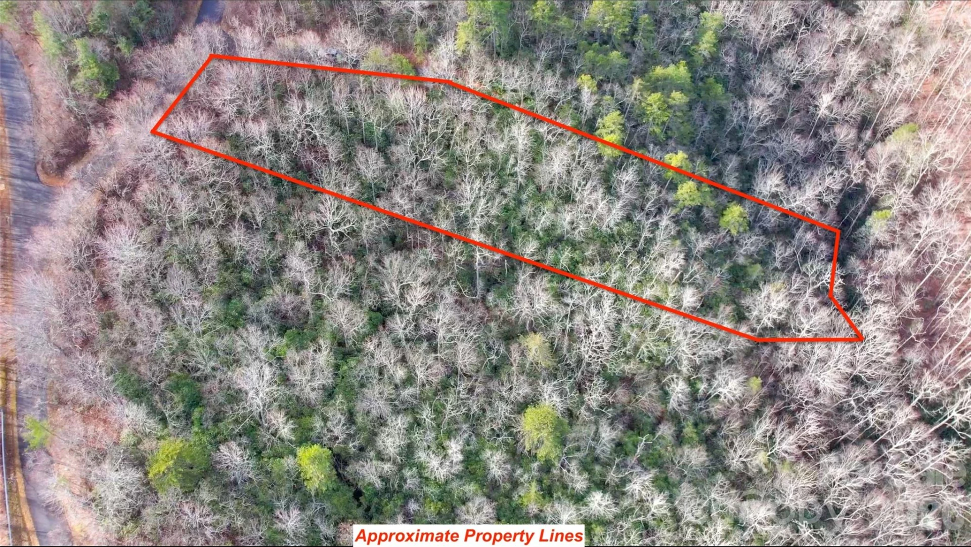 9999 Rainbow Falls Trail - Photo 5