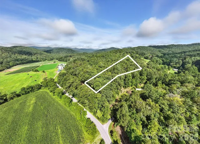 0000 Mullinax Cove Road, Mills River, NC, 28759