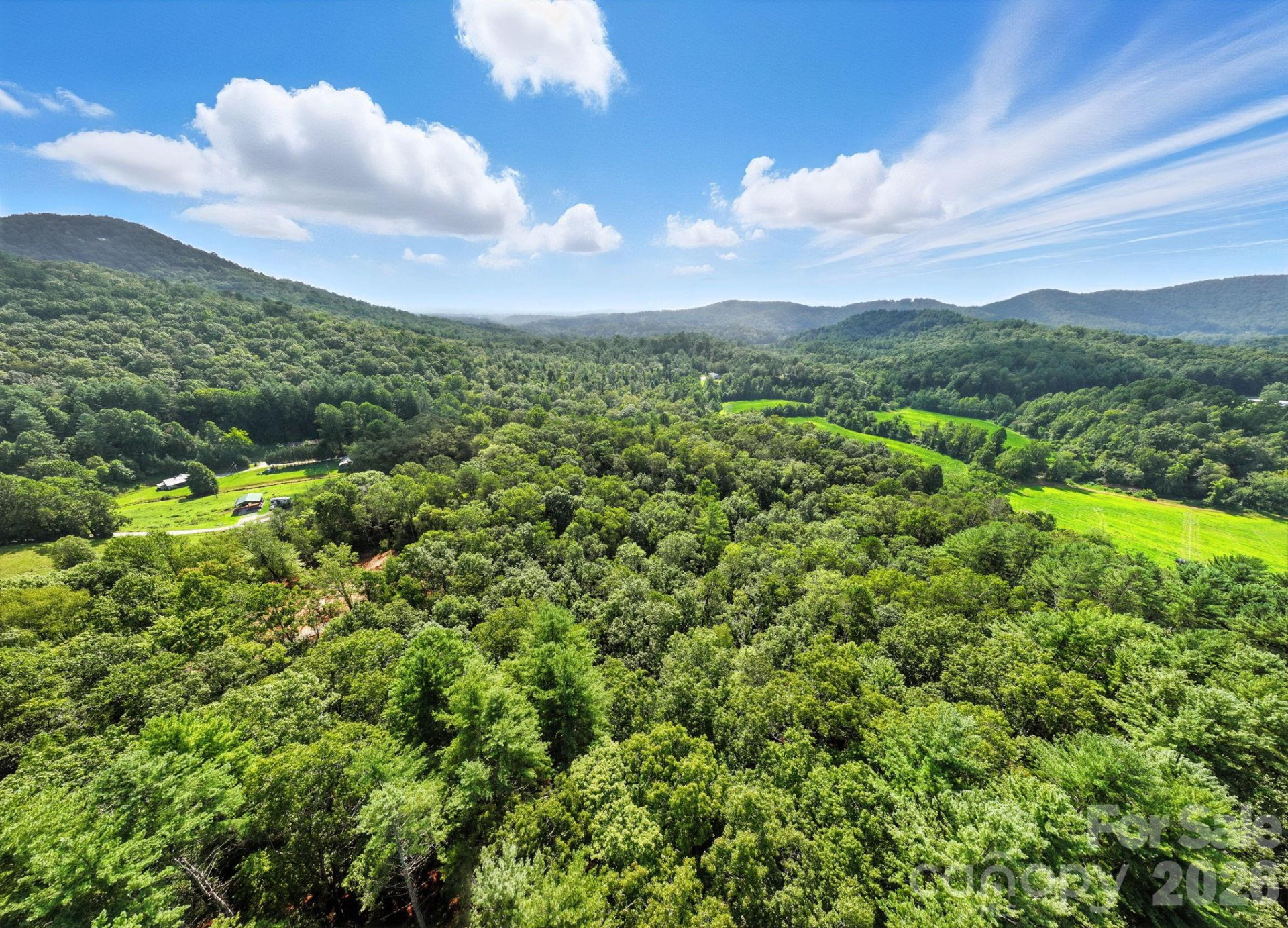 0000 Mullinax Cove Road - Photo 2