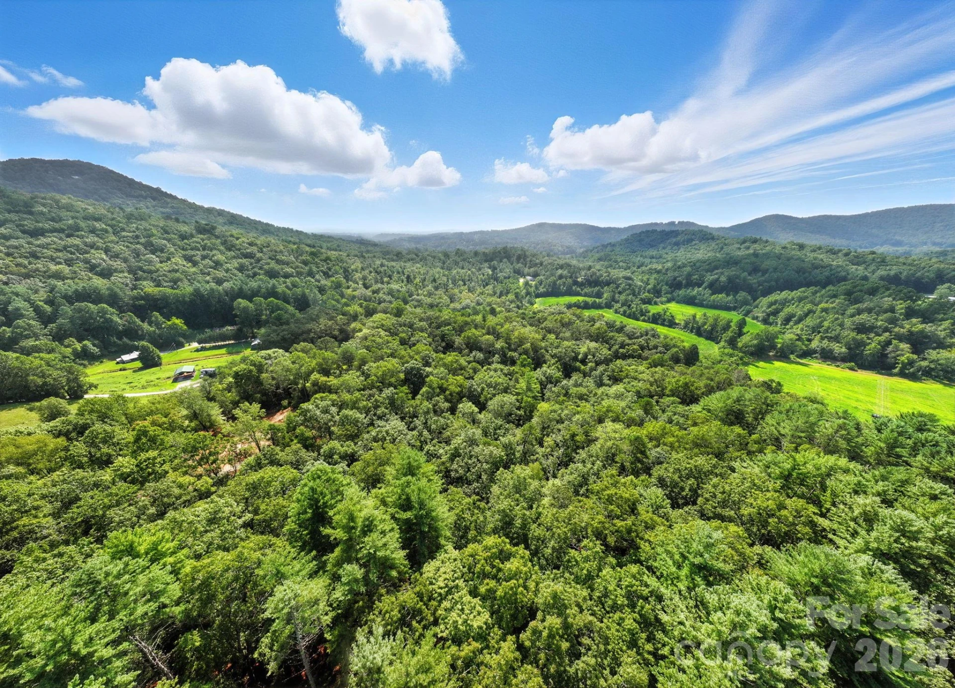0000 Mullinax Cove Road - Photo 2