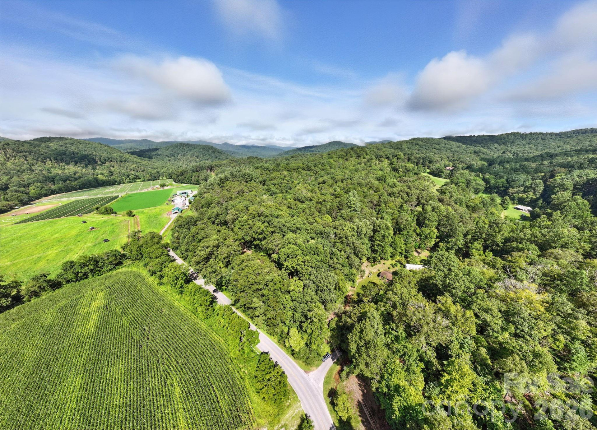 0000 Mullinax Cove Road - Photo 3