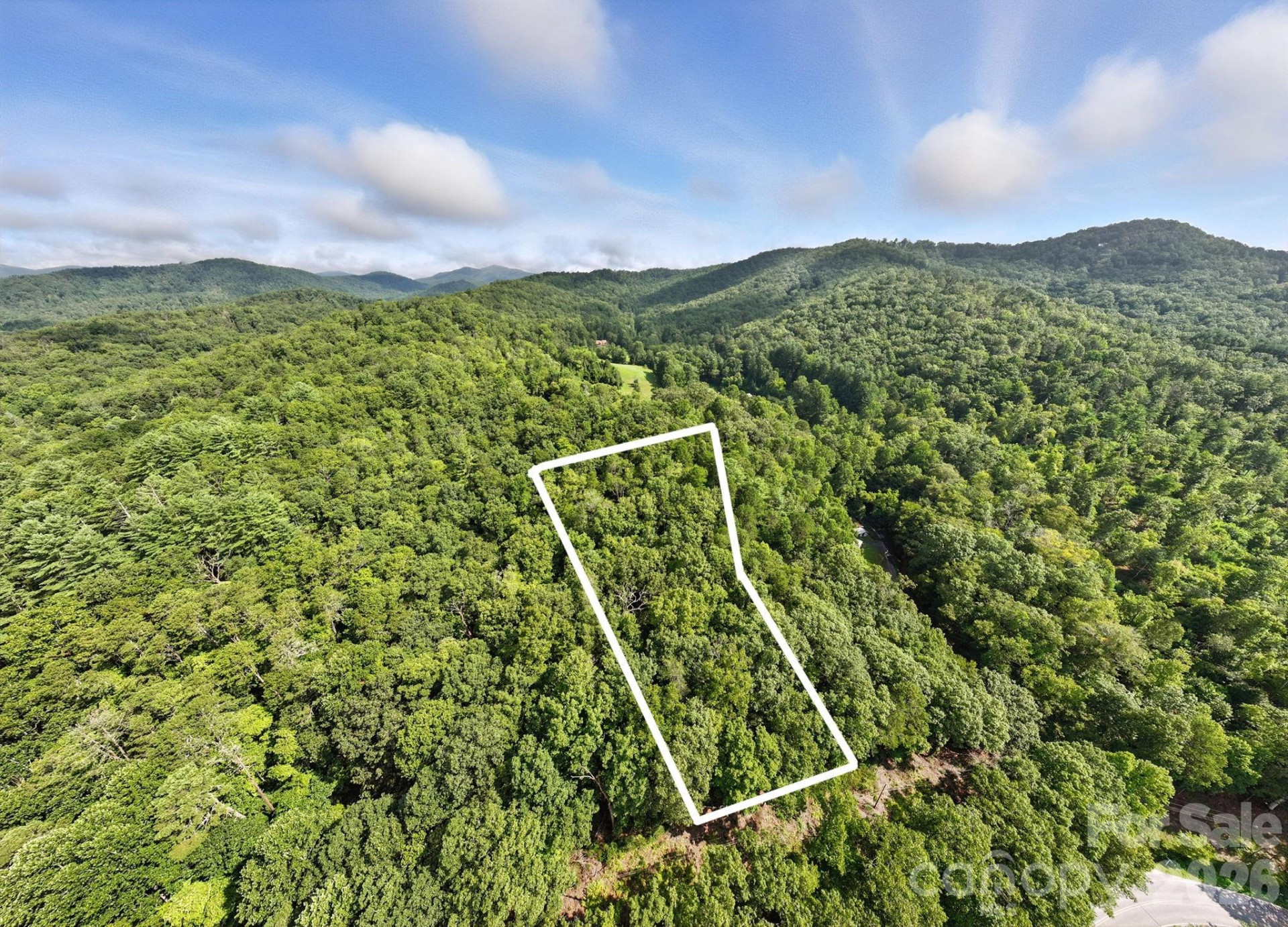 0000 Mullinax Cove Road - Photo 4