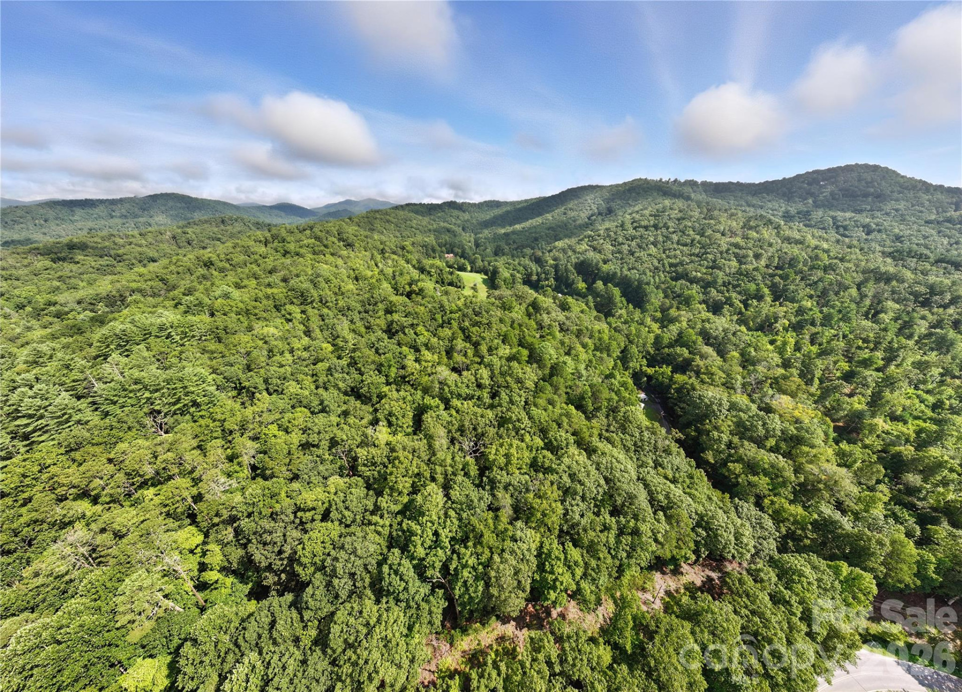 0000 Mullinax Cove Road - Photo 5