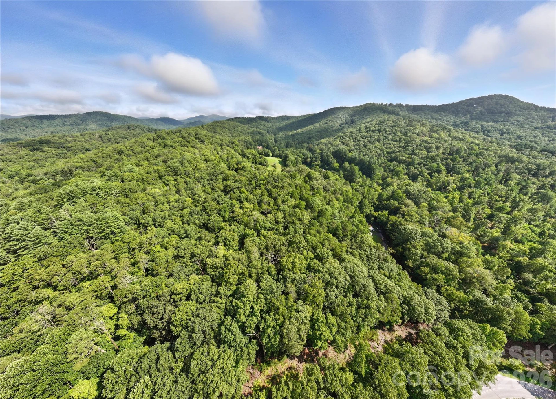 0000 Mullinax Cove Road - Photo 5