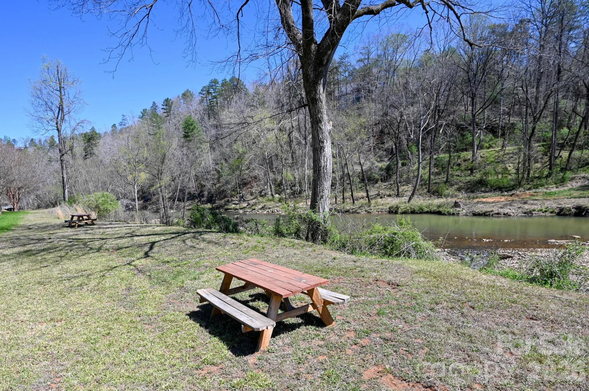 135 Poodles Way - Photo 25