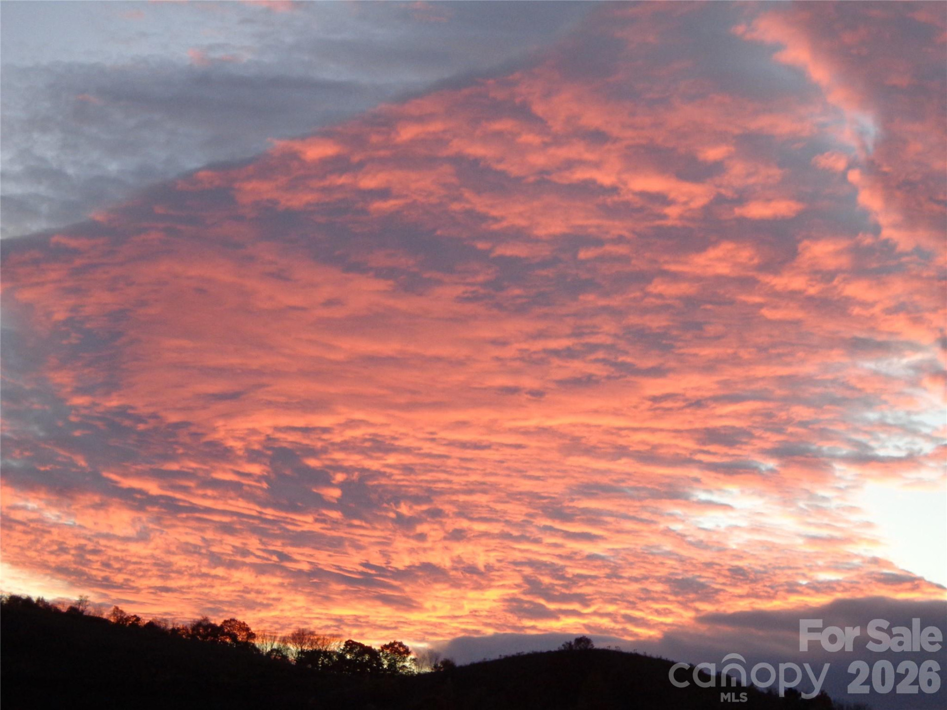 1007 Turkey Trot Road - Photo 37